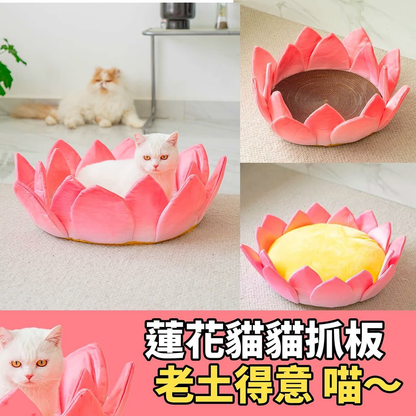 觀音蓮花坐墊（貓貓抓板版本）