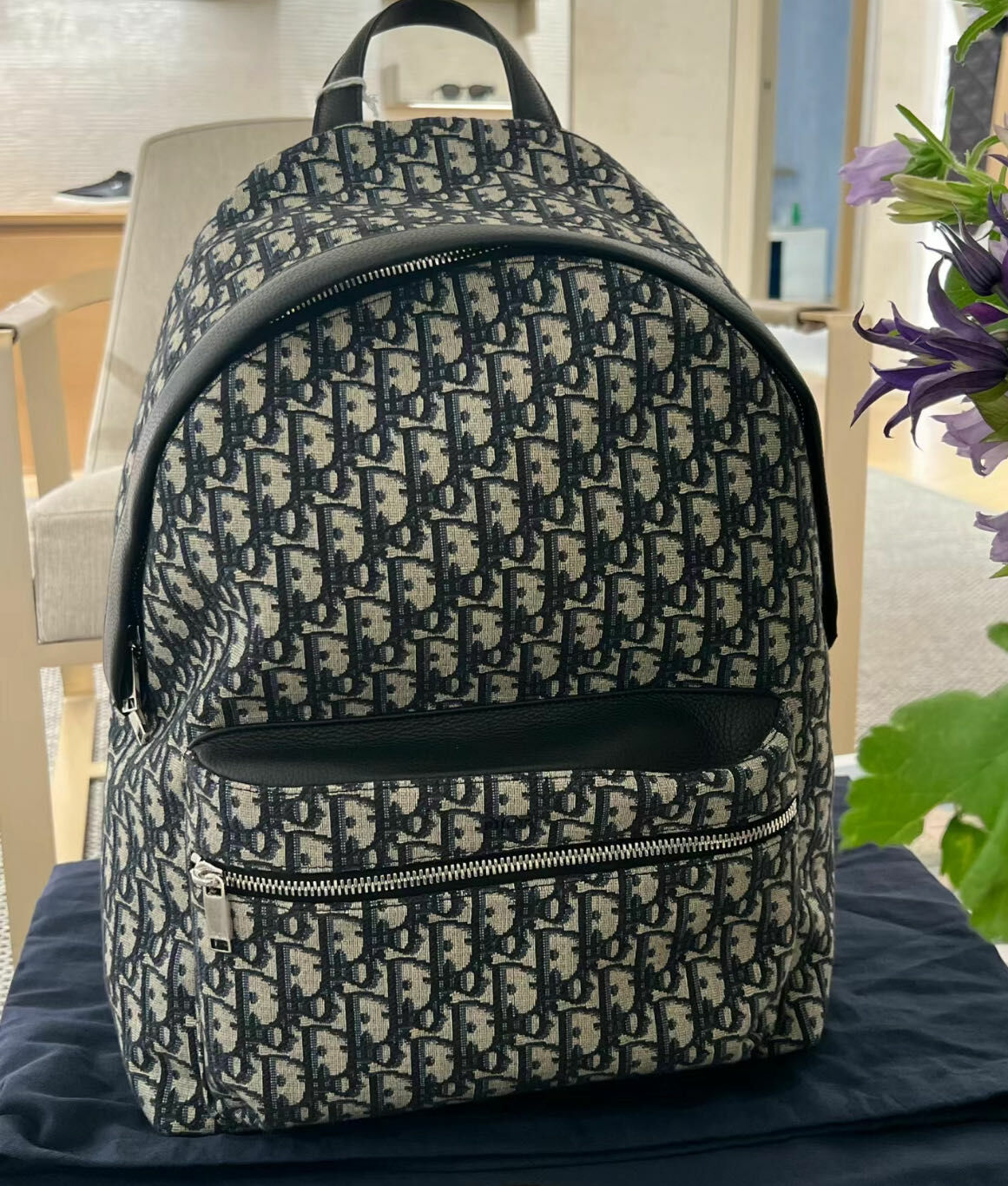 Dior 满logo背囊 -M