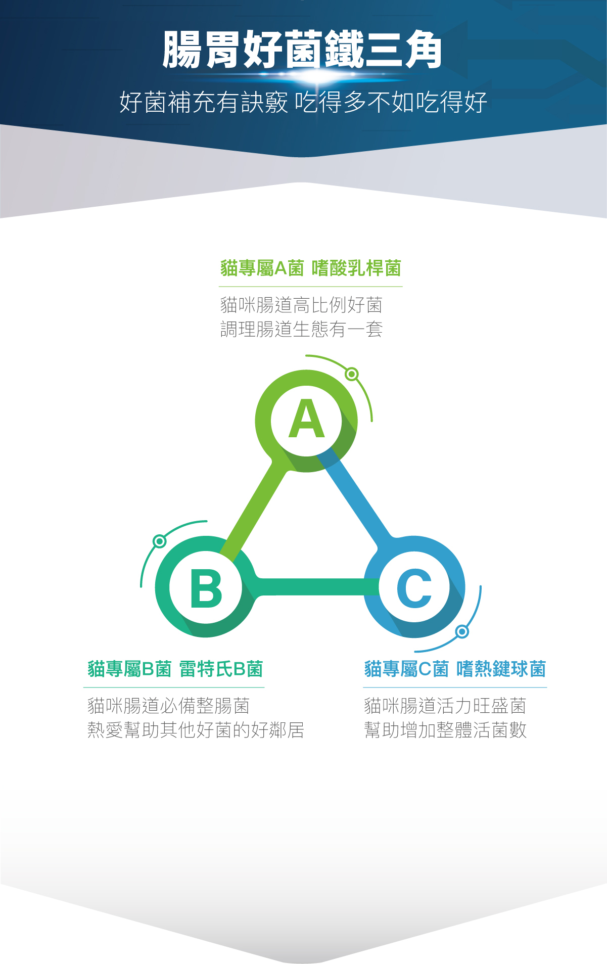 Moreson 木入森｜貓咪活菌寶 30包 (貓咪益生菌)