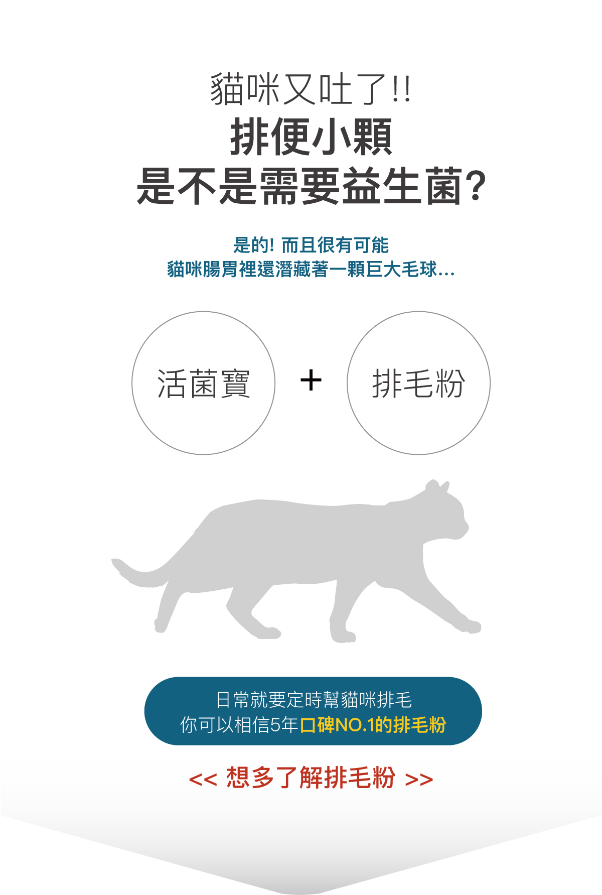 Moreson 木入森｜貓咪活菌寶 30包 (貓咪益生菌)