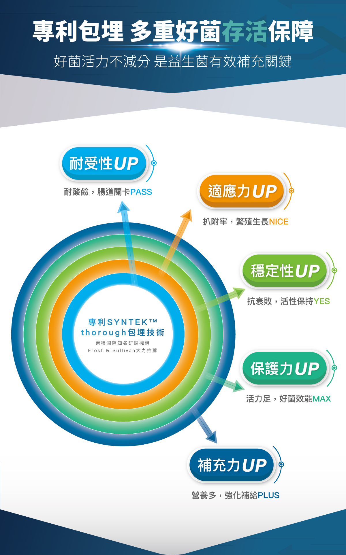 Moreson 木入森｜貓咪活菌寶 30包 (貓咪益生菌)