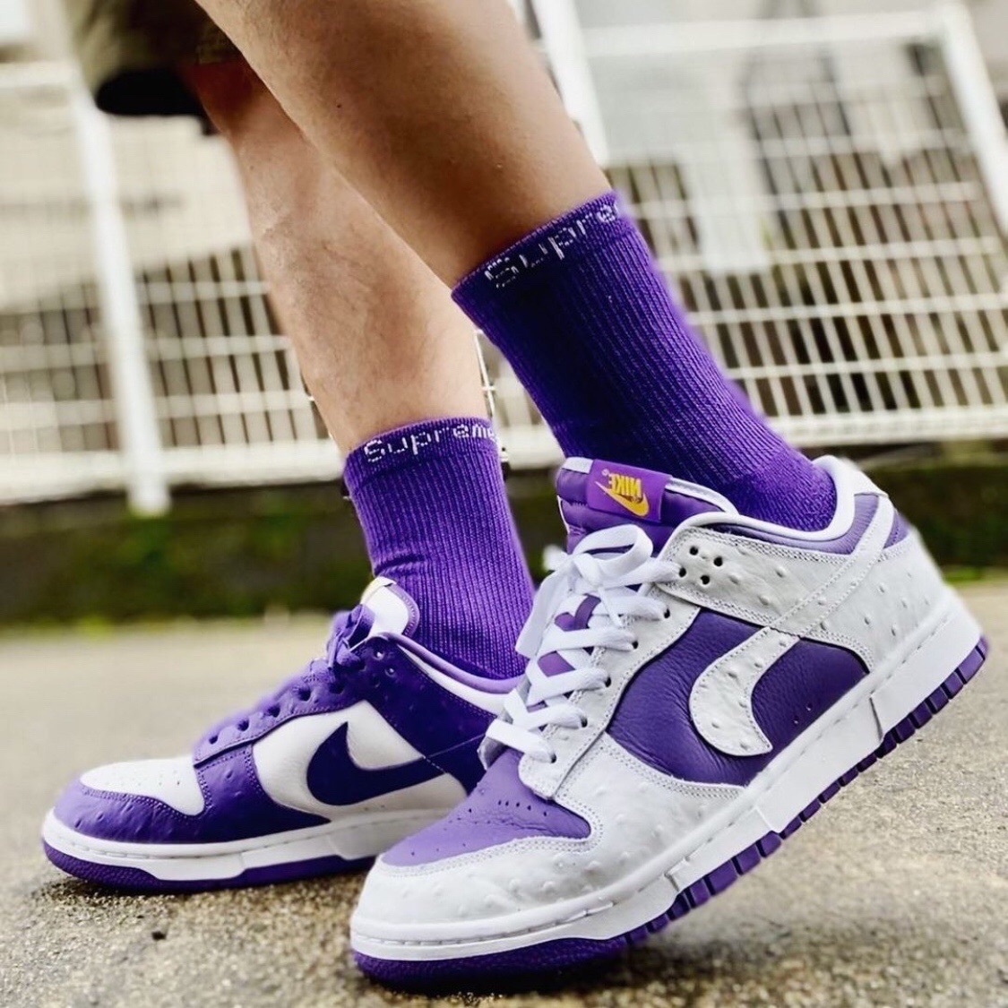 Nike Dunk Low Flip The Old School 反勾女鞋DJ4636-100