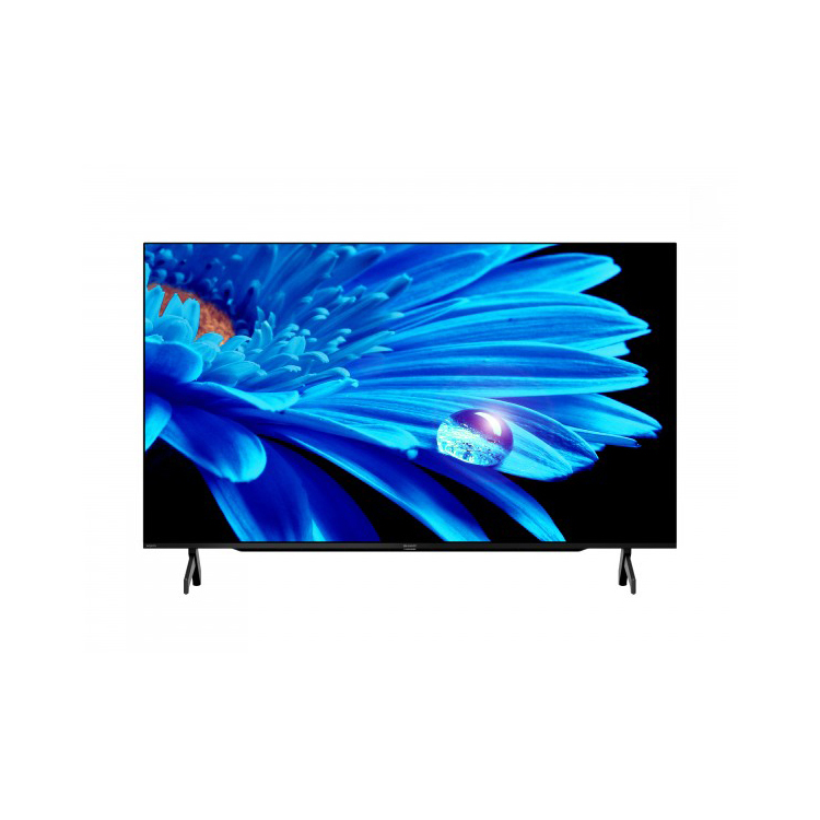 Sharp 聲寶 55吋 4K 超高清智能電視 4T-C55FK1X