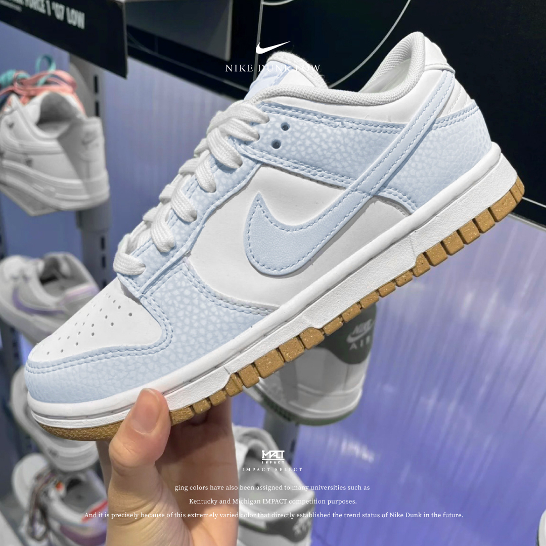Nike Dunk Low PREMIUM NN 冰川人魚 FN6345-100