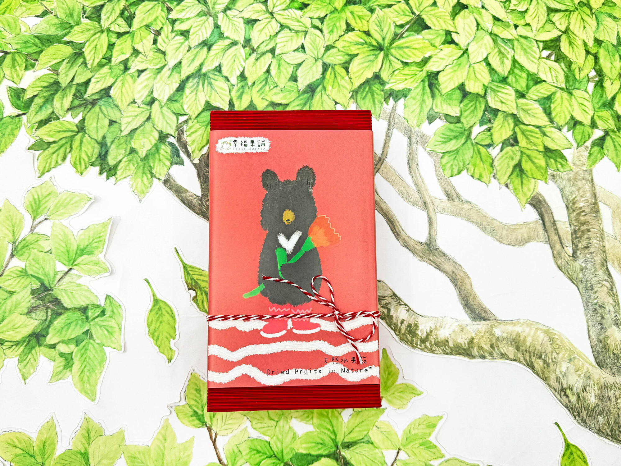 康乃馨熊水果乾小禮盒10入