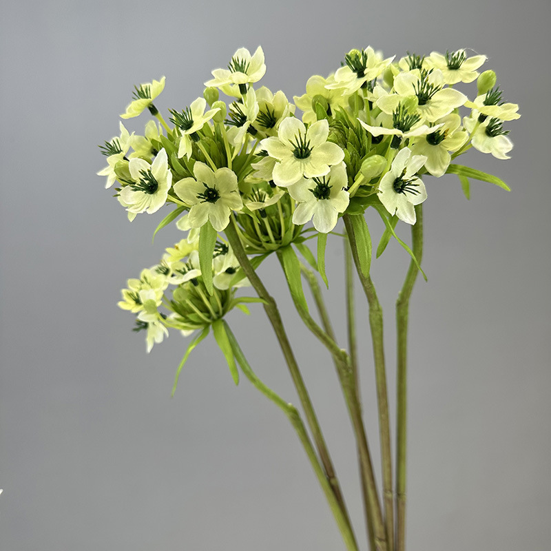 仿真伯利恆之星 (天鵝絨)