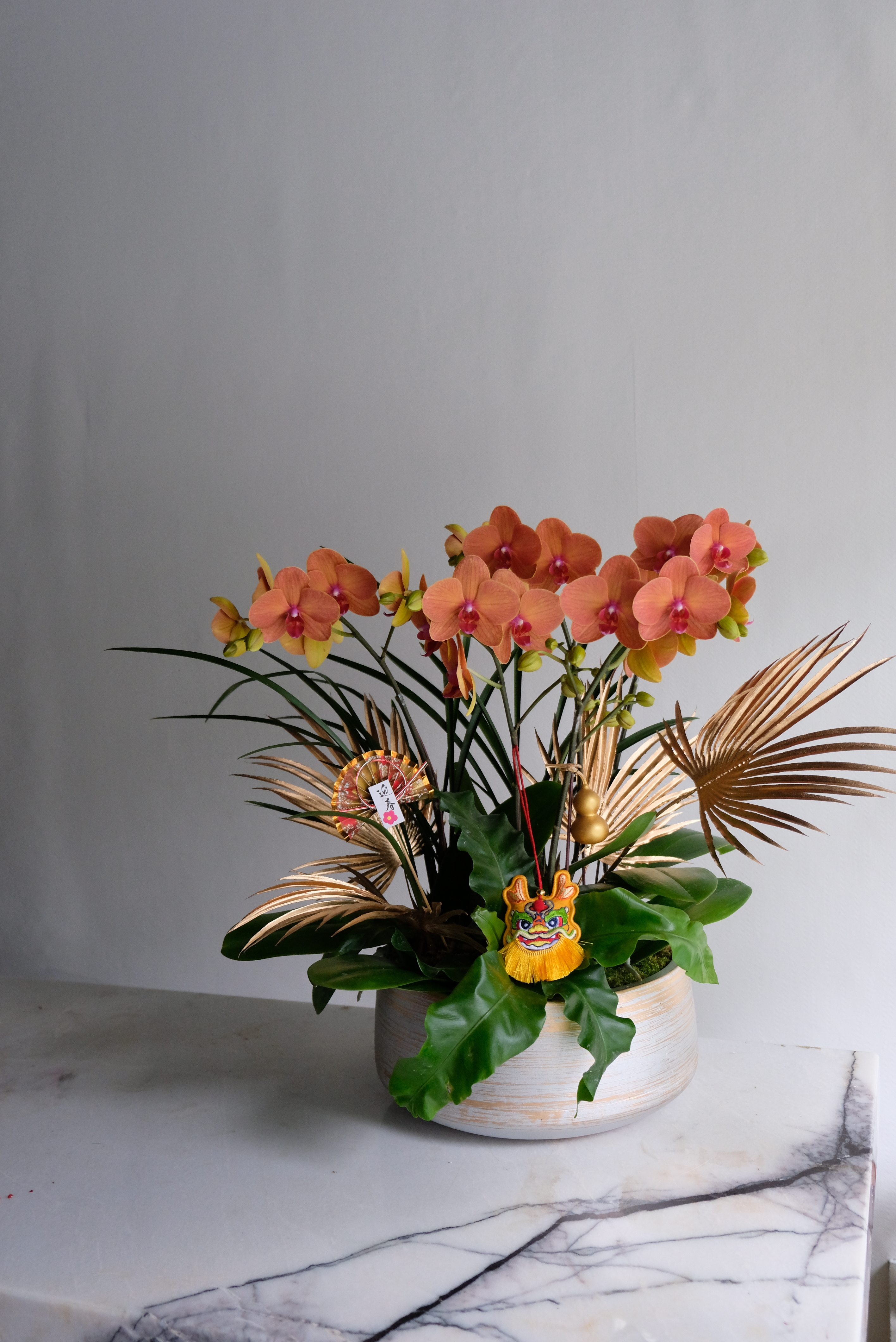 蜜桃牛奶 M－蘭花盆花