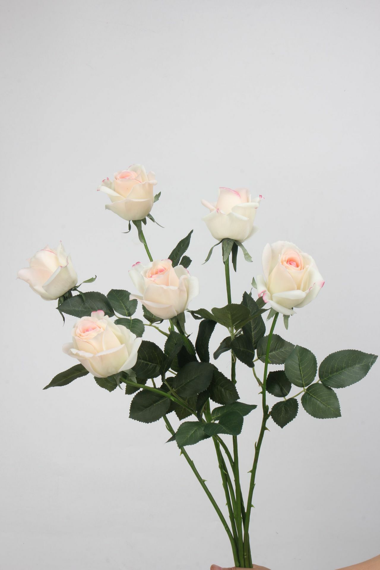 仿真保濕卡爾玫瑰