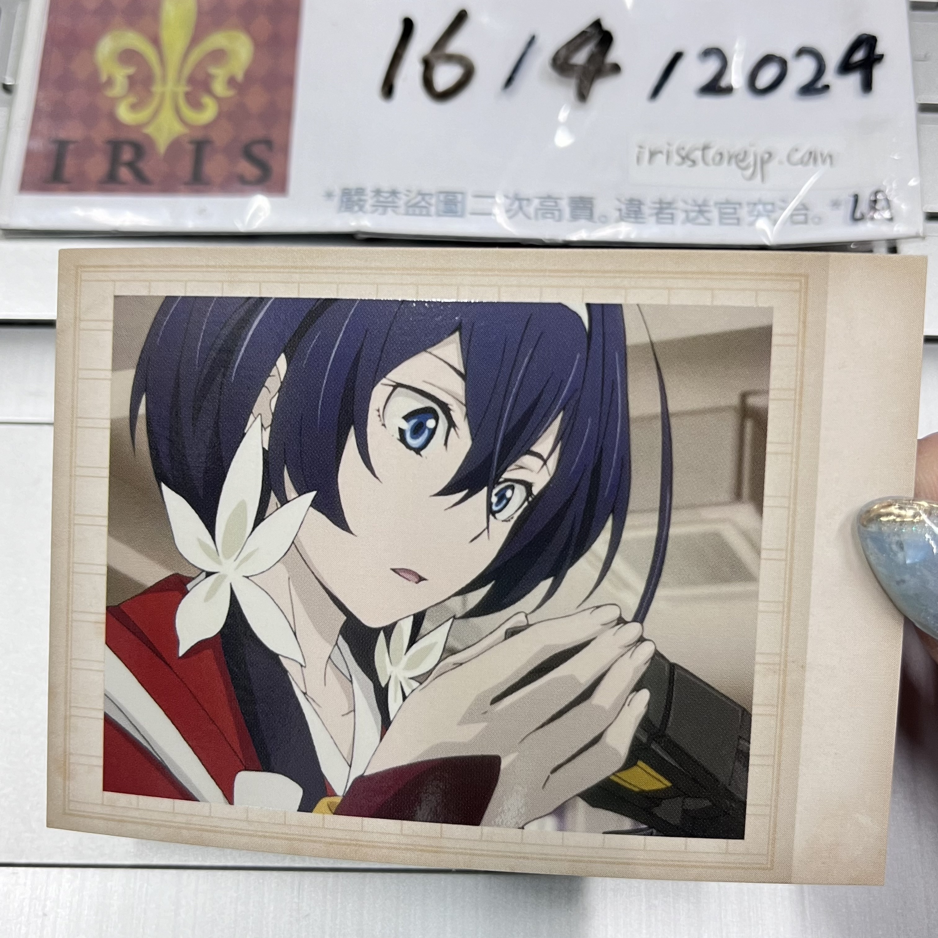 文豪野犬 鏡花 拍立得