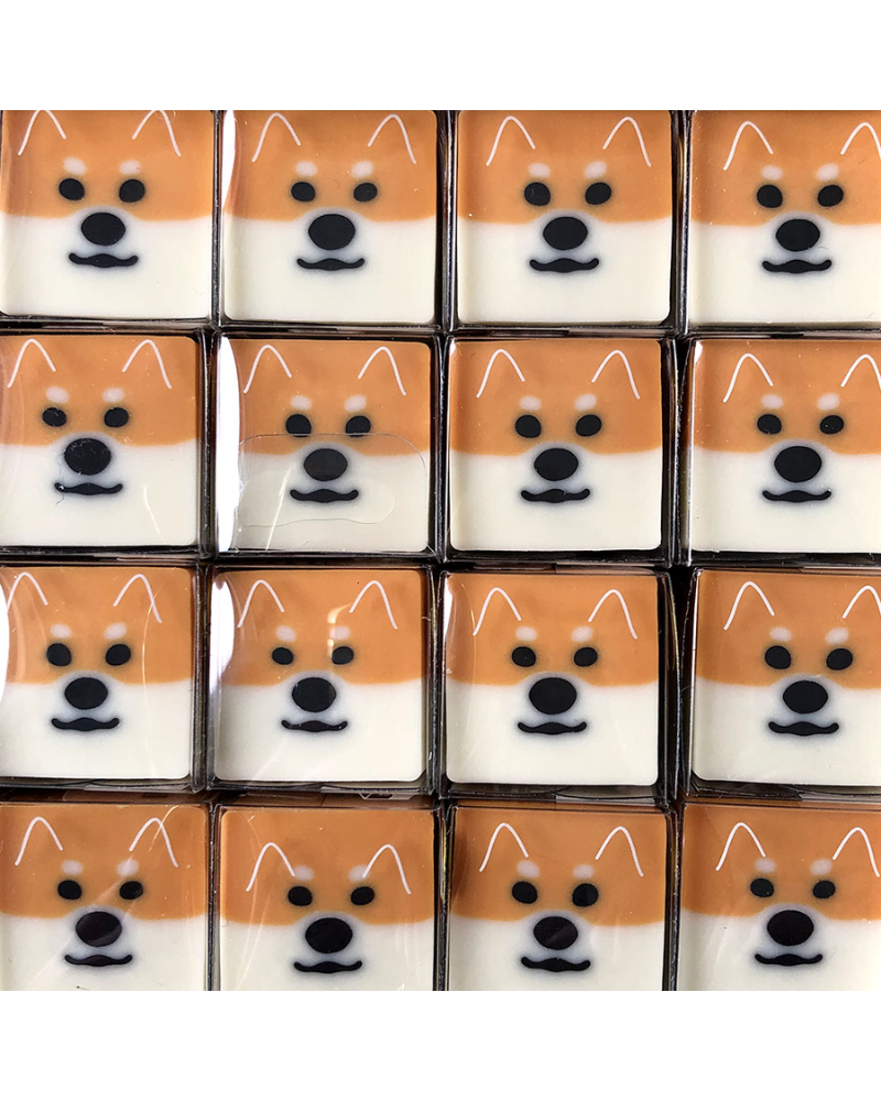 Sun-Star 柴犬趣味可變形擦膠