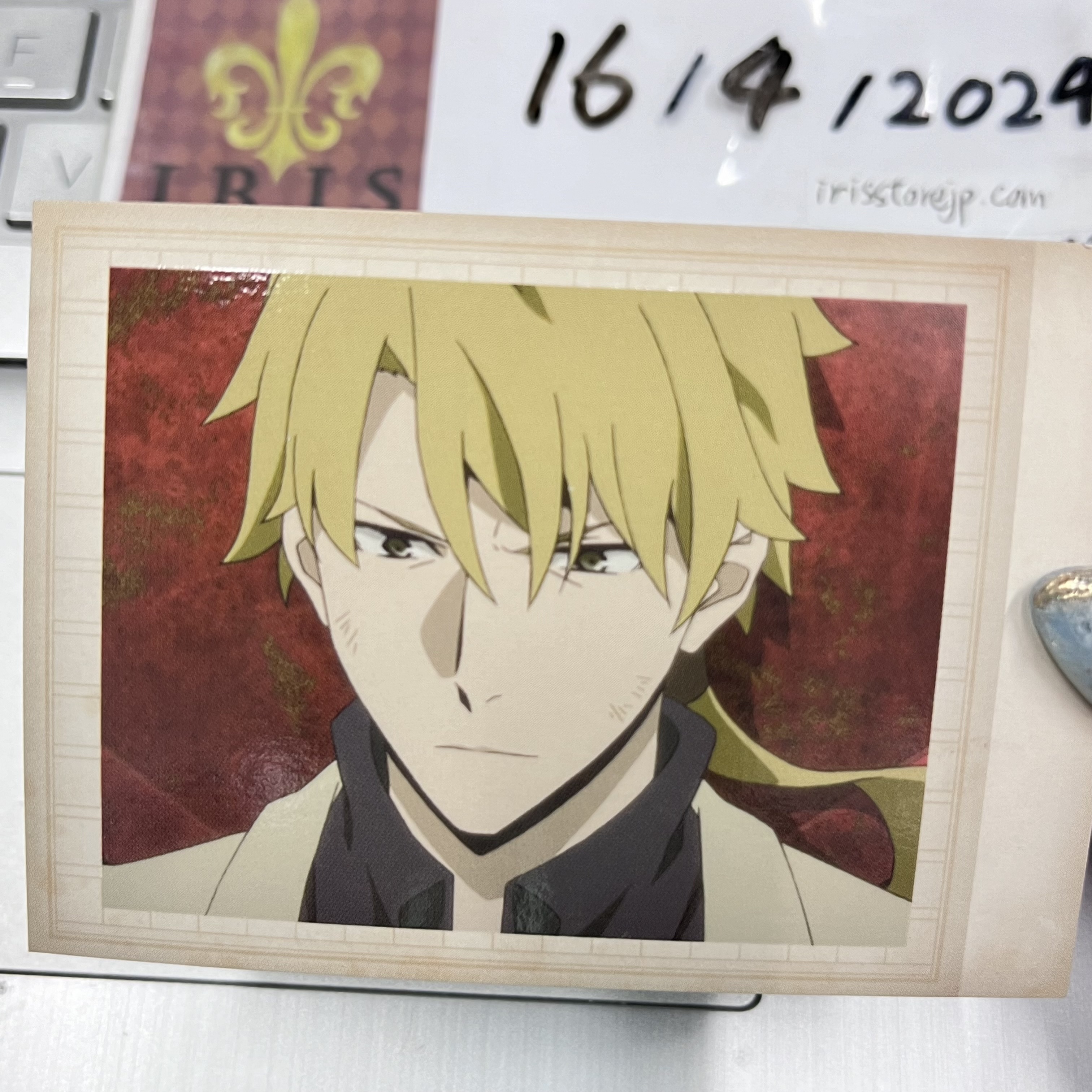 文豪野犬 國木田 拍立得