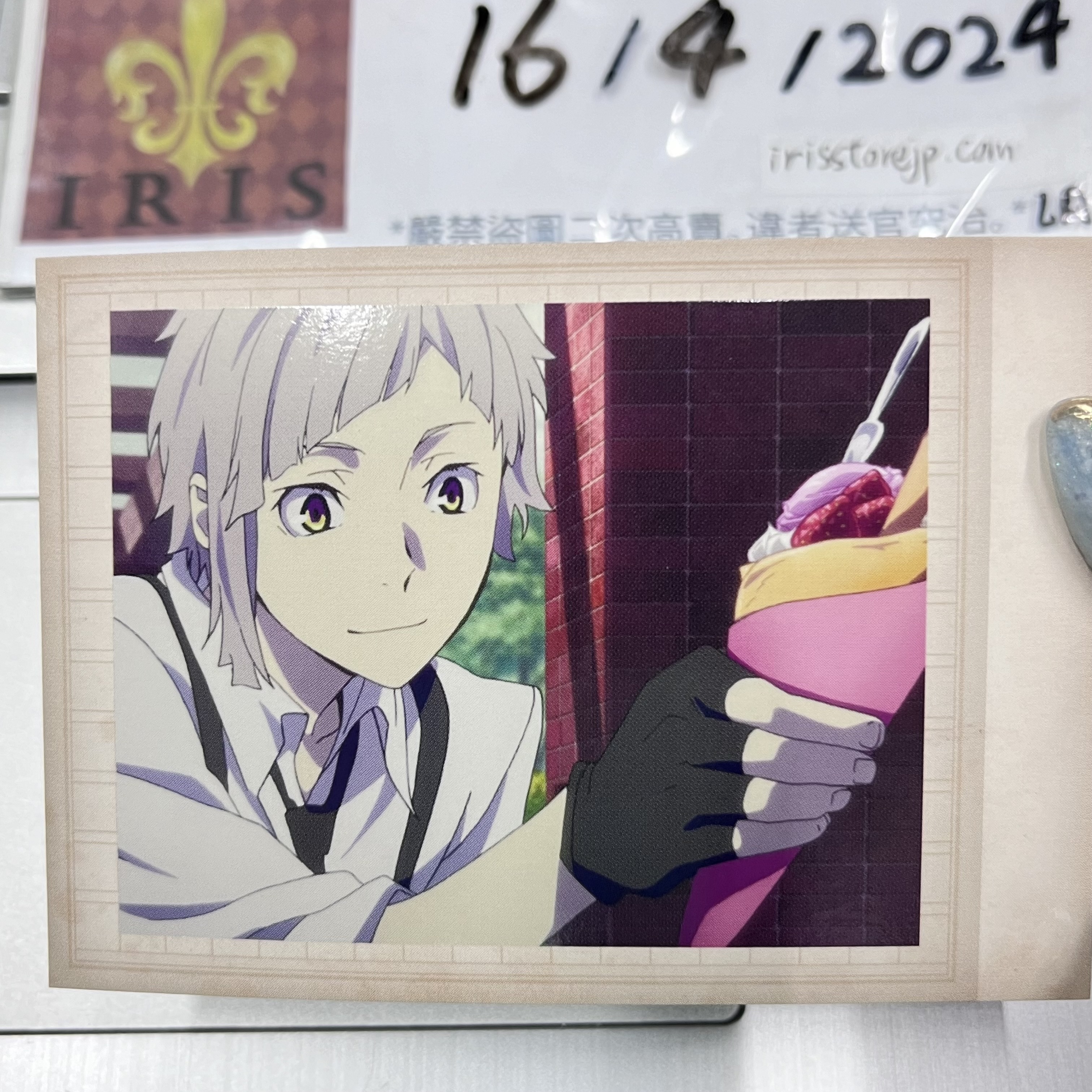 文豪野犬 敦 拍立得