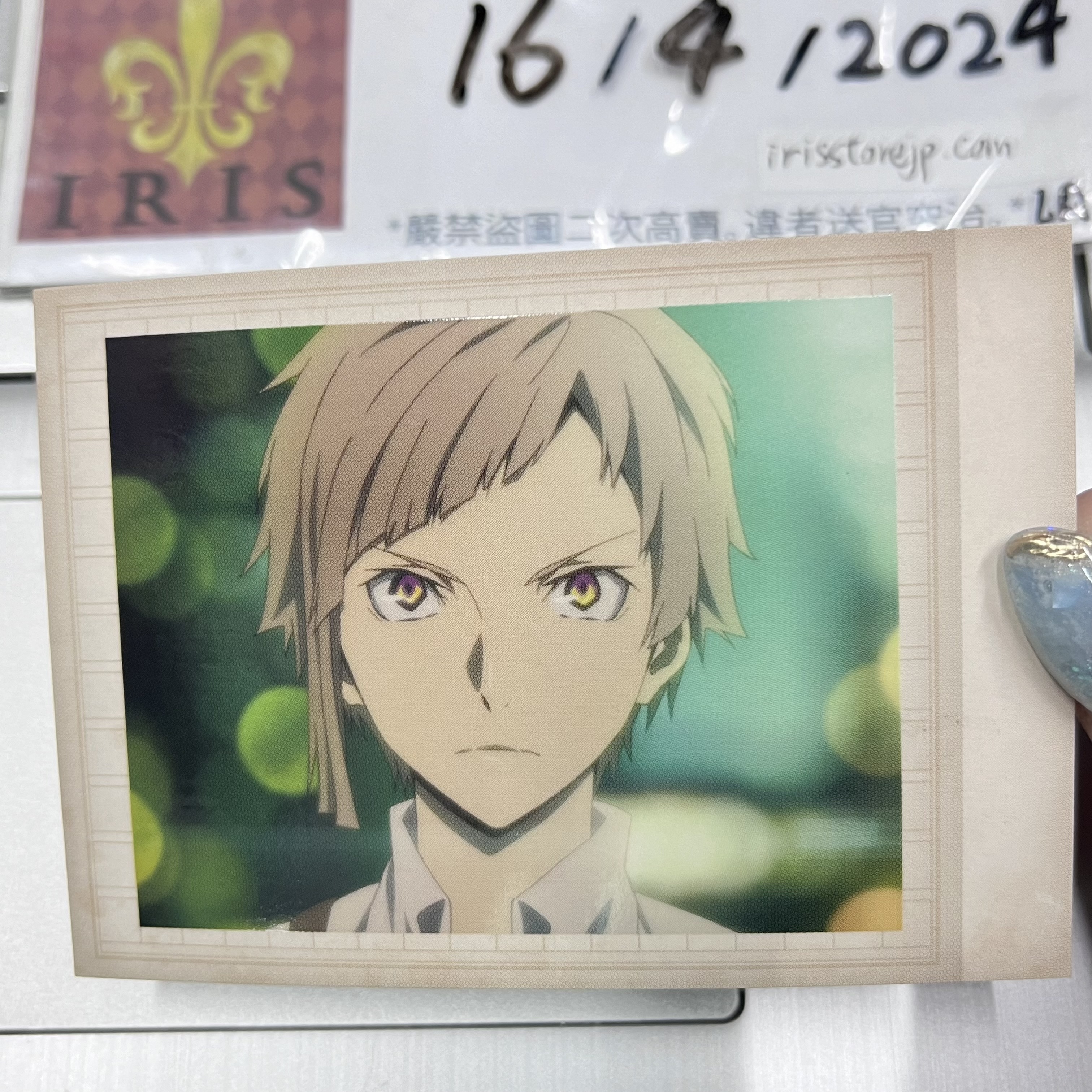 文豪野犬 敦 拍立得