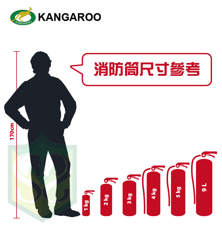 CO2 Fire Extinguisher