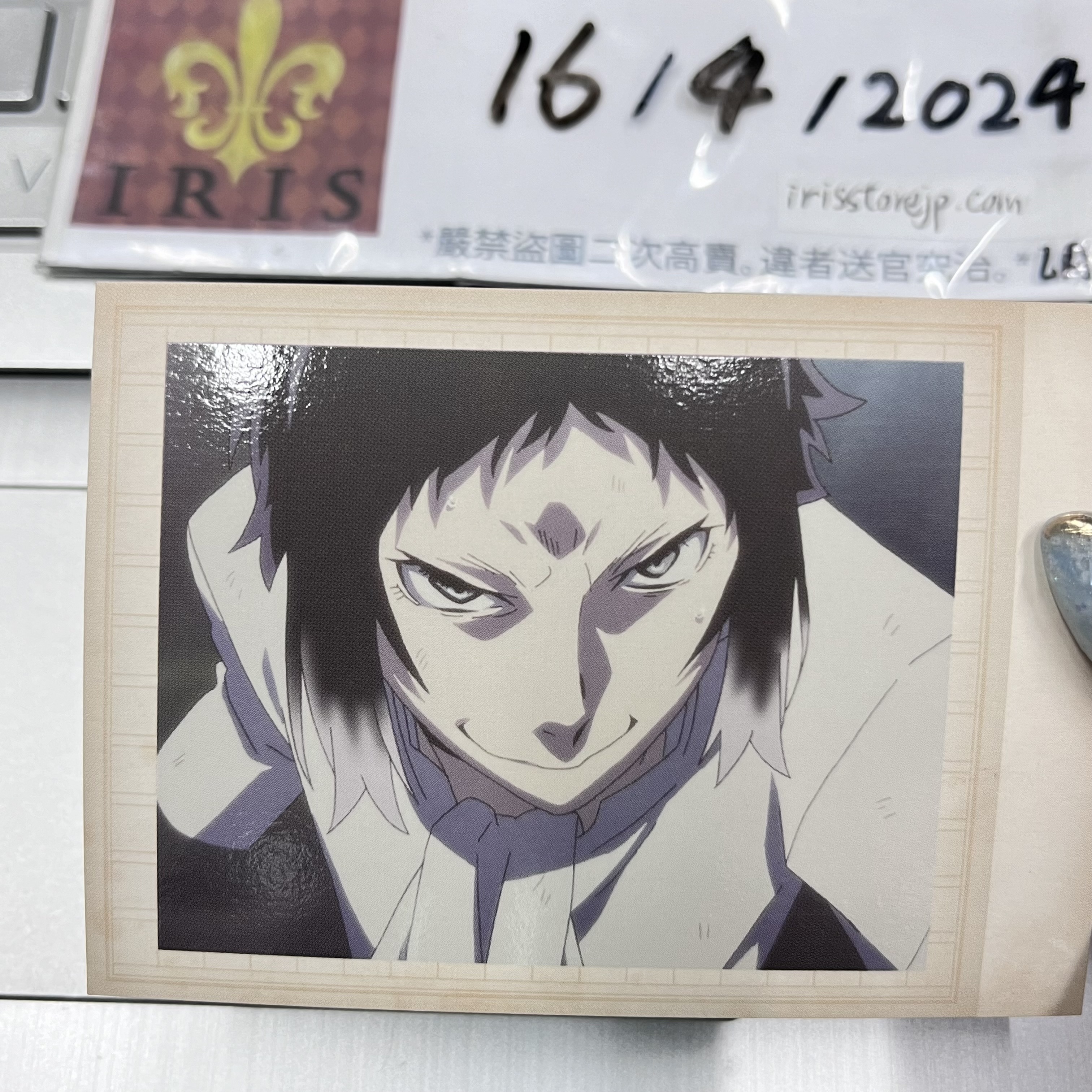 文豪野犬 芥川 拍立得