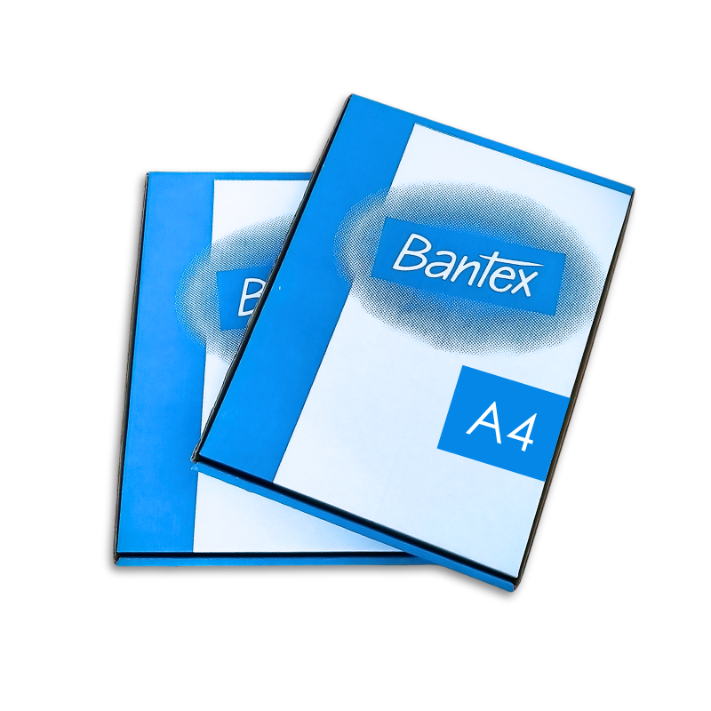 Bantex A4 文件保護套 (磨沙面) #2042