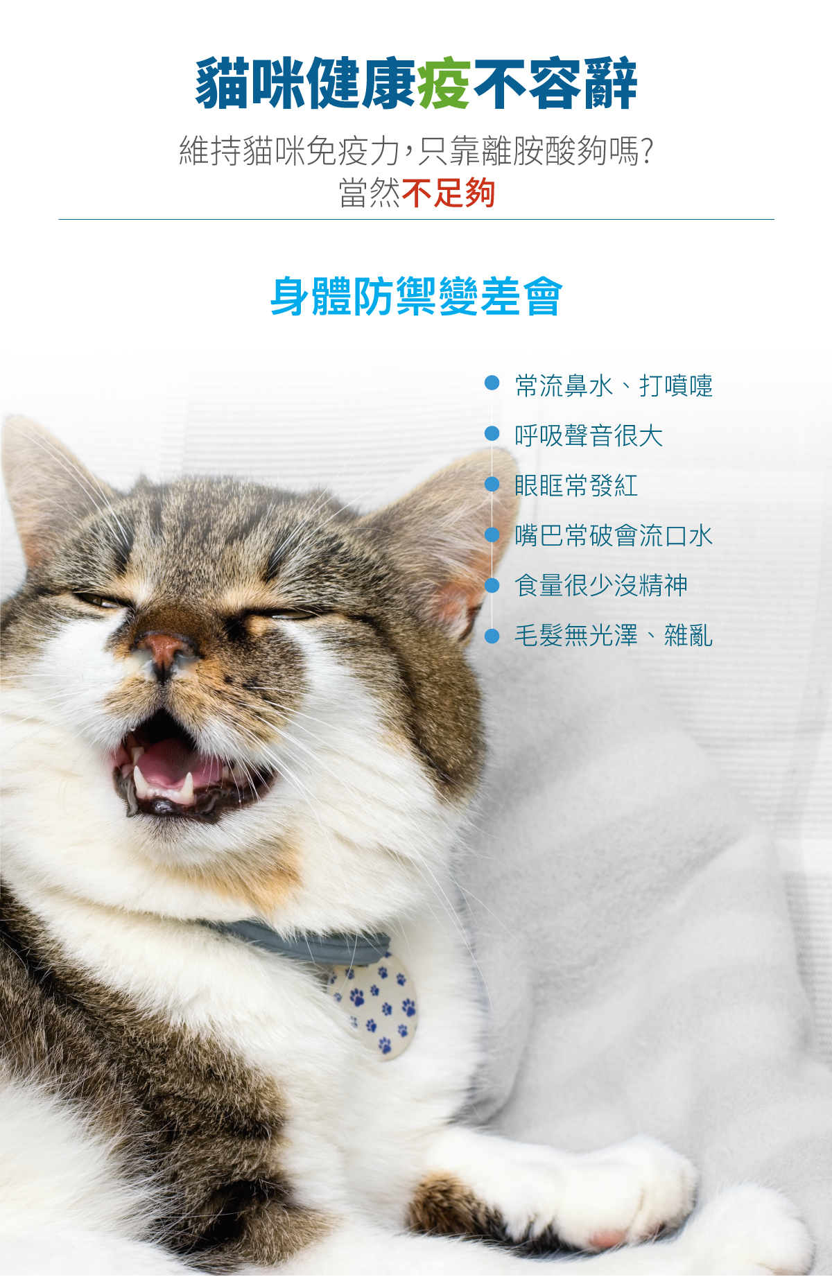 Moreson 木入森｜貓咪護疫升 30粒