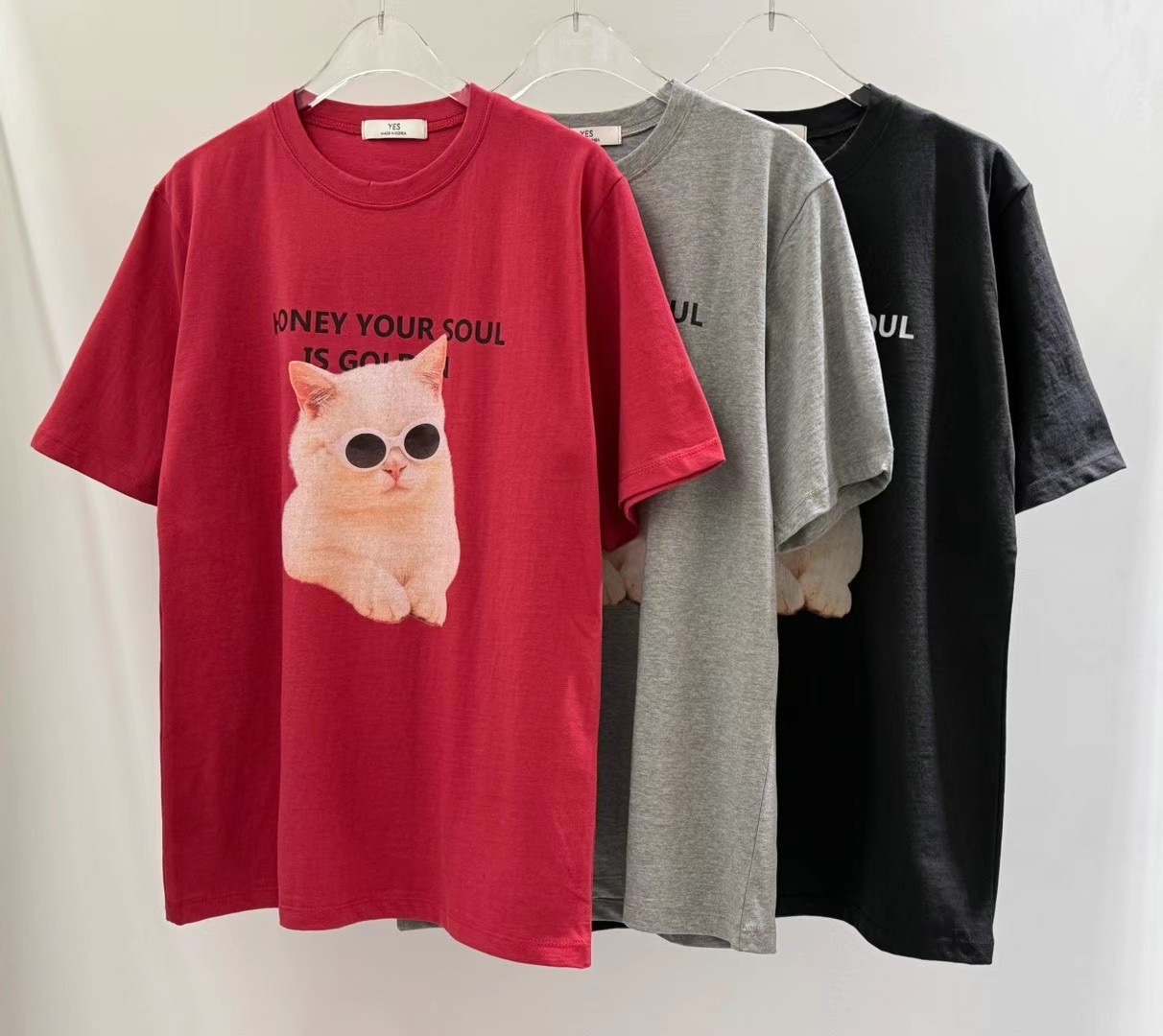 正韓𝜗𝜚喵咪也要酷T