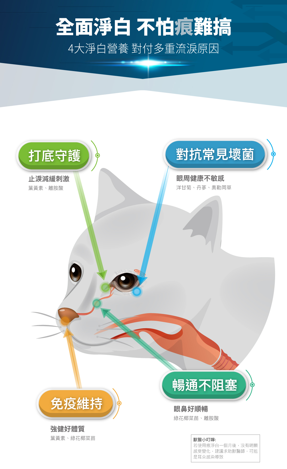 Moreson 木入森｜貓咪痕淨白