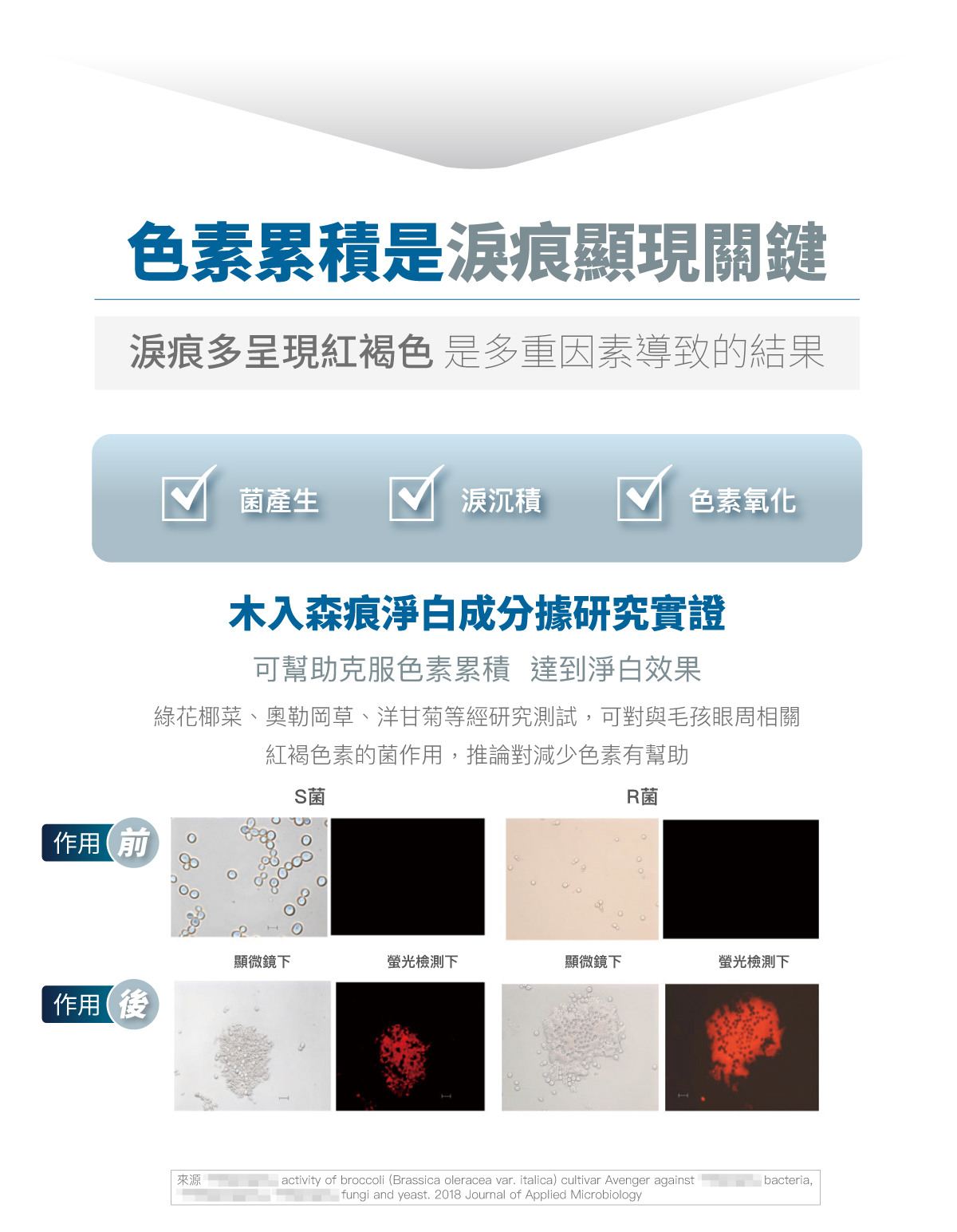 Moreson 木入森｜貓咪痕淨白