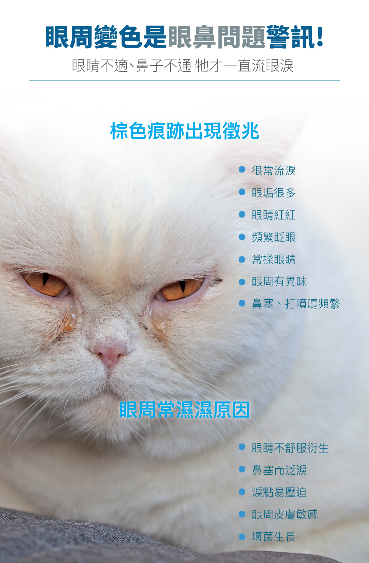 Moreson 木入森｜貓咪痕淨白