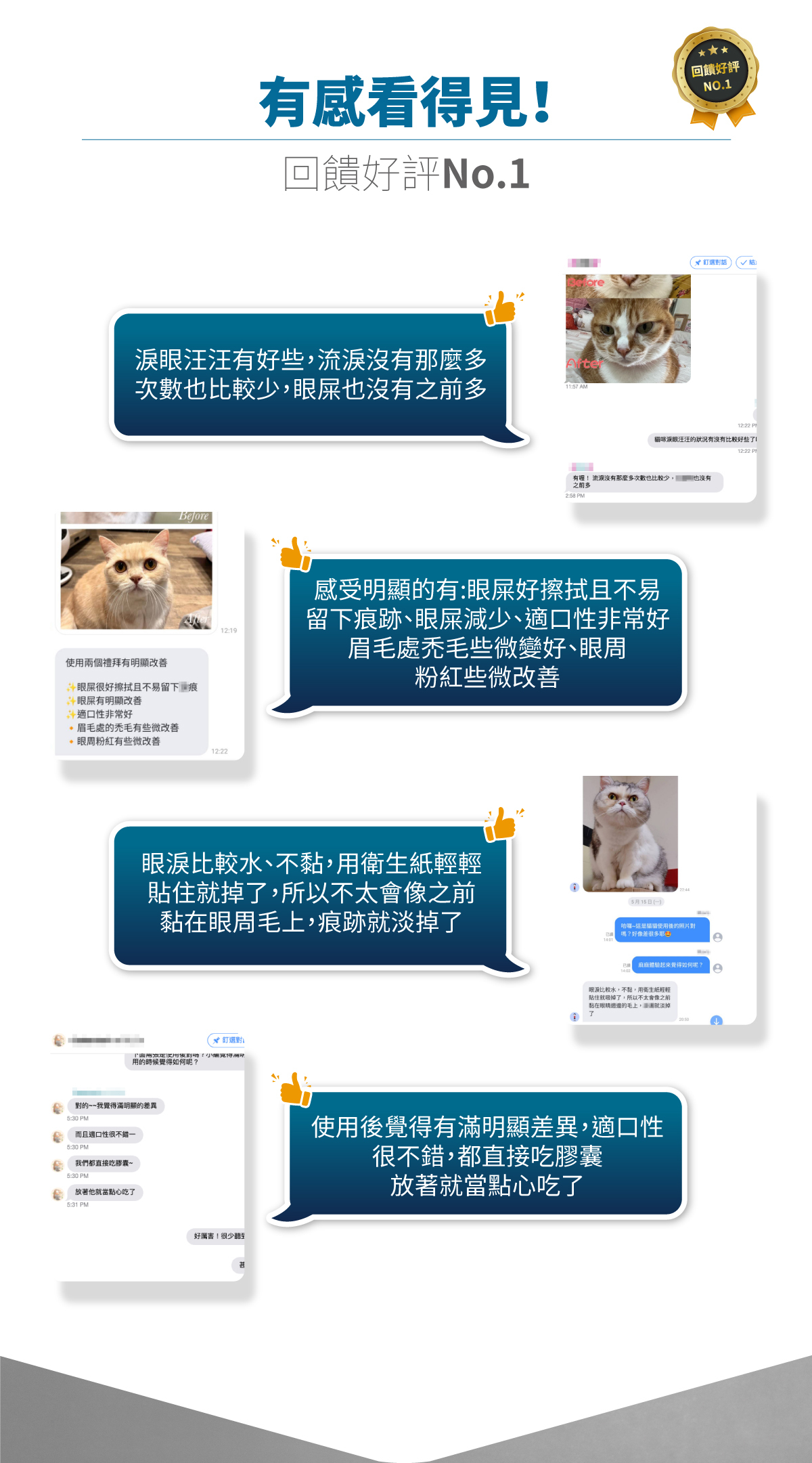 Moreson 木入森｜貓咪痕淨白