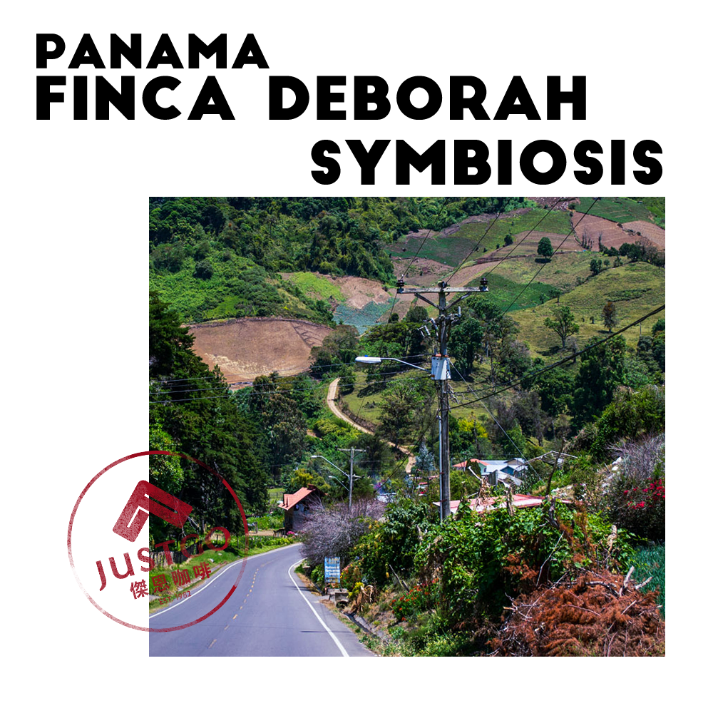 [生豆] 巴拿馬 Finca Deborah Symbiosis（共生）GESHA 厭氧延長發酵日曬