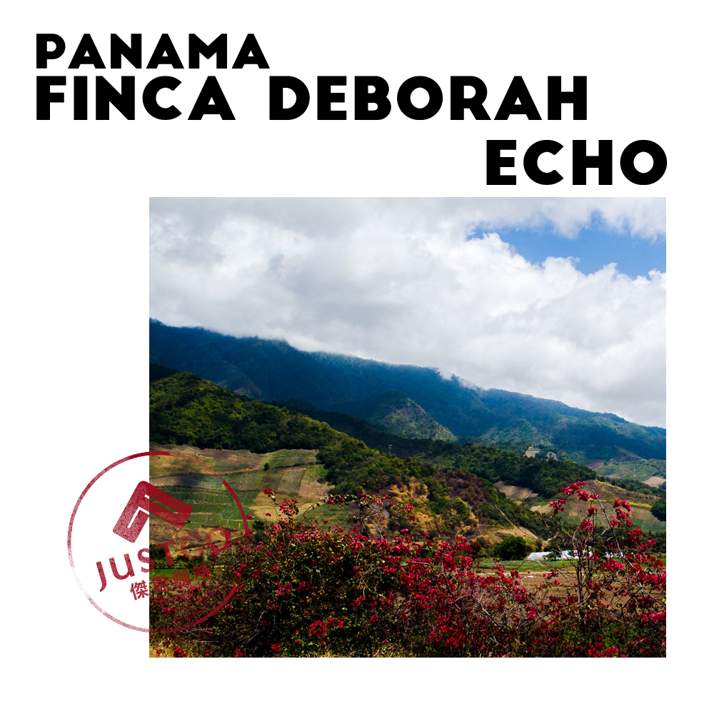 [生豆] 巴拿馬 Finca Deborah Echo（迴音）GESHA 二氧化碳浸漬 帶果皮水洗