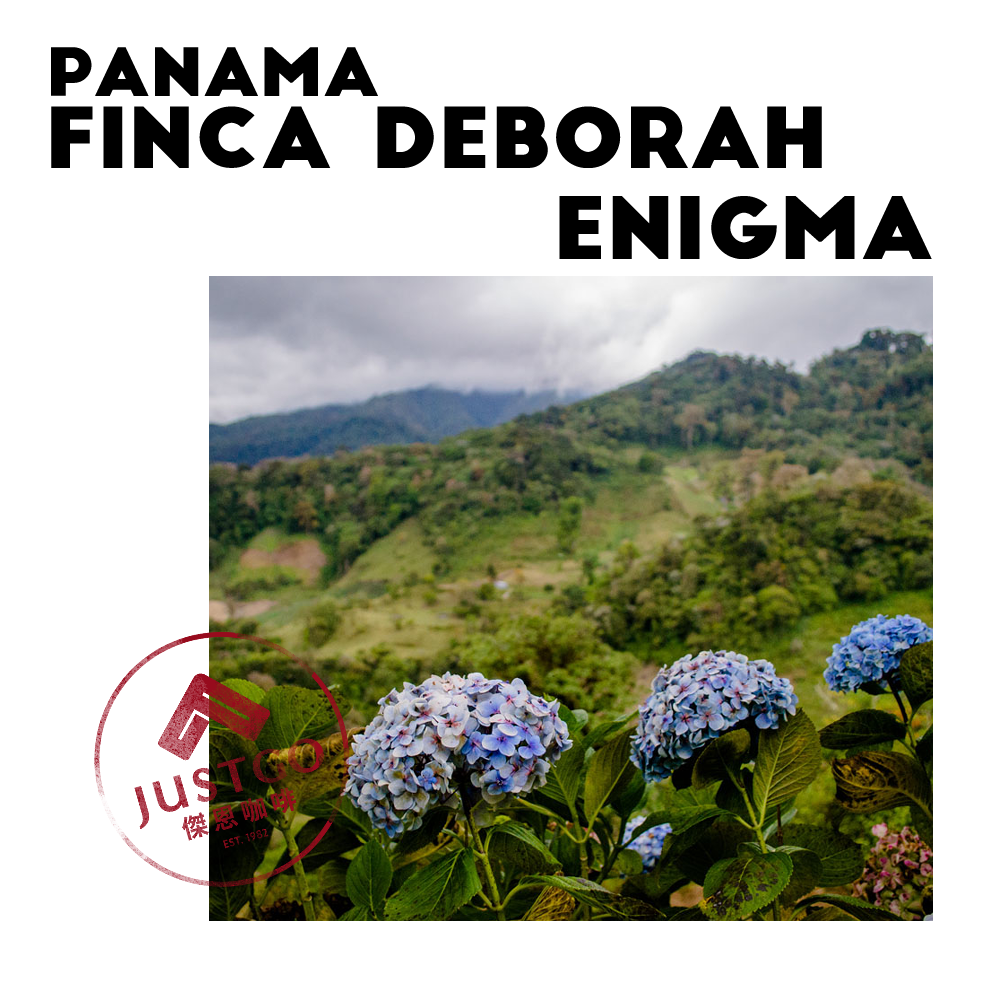 [生豆] 巴拿馬 Finca Deborah Enigma（謎幻）GESHA 二氧化碳浸漬 延⾧日曬
