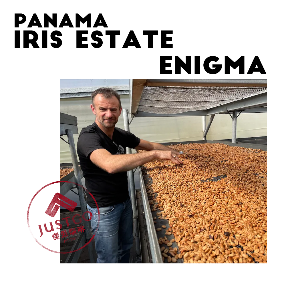 [生豆] 巴拿馬 Iris Estate Enigma（謎幻）GESHA 二氧化碳浸漬延⾧日曬