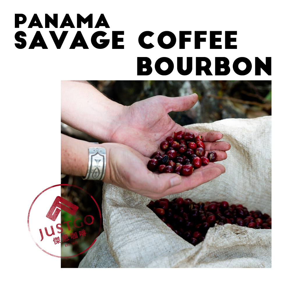 [生豆] 巴拿馬 Savage Coffee Bourbon（波旁）厭氧日曬