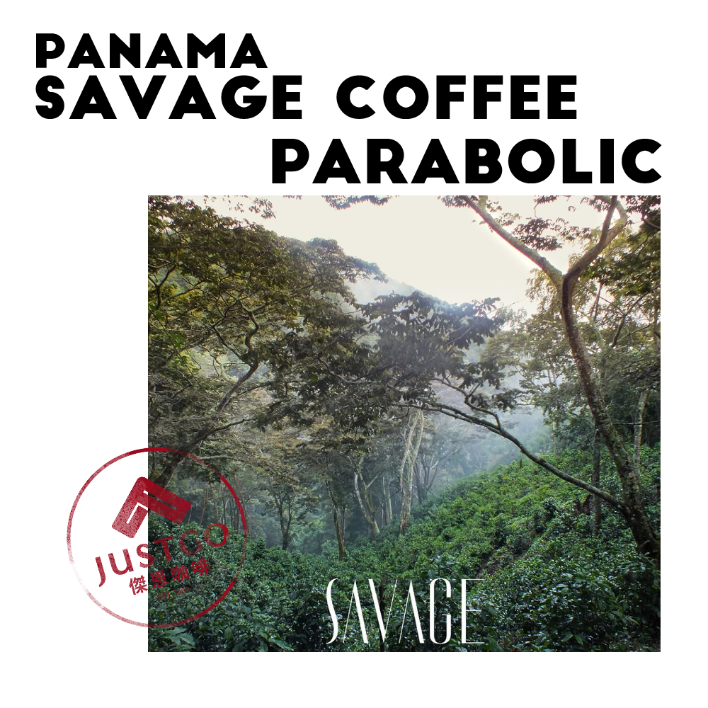 [生豆] 巴拿馬 Savage Coffee Parabolic（拋物線）GESHA 二氧化碳浸漬延⾧發酵日曬