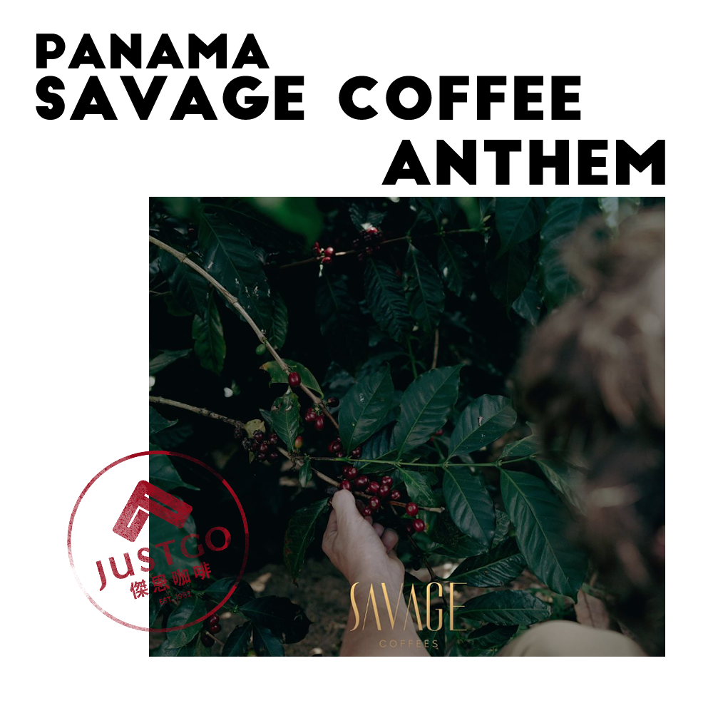 [生豆] 巴拿馬 Savage Coffee Anthem（聖歌）GESHA 慢速乾燥日曬