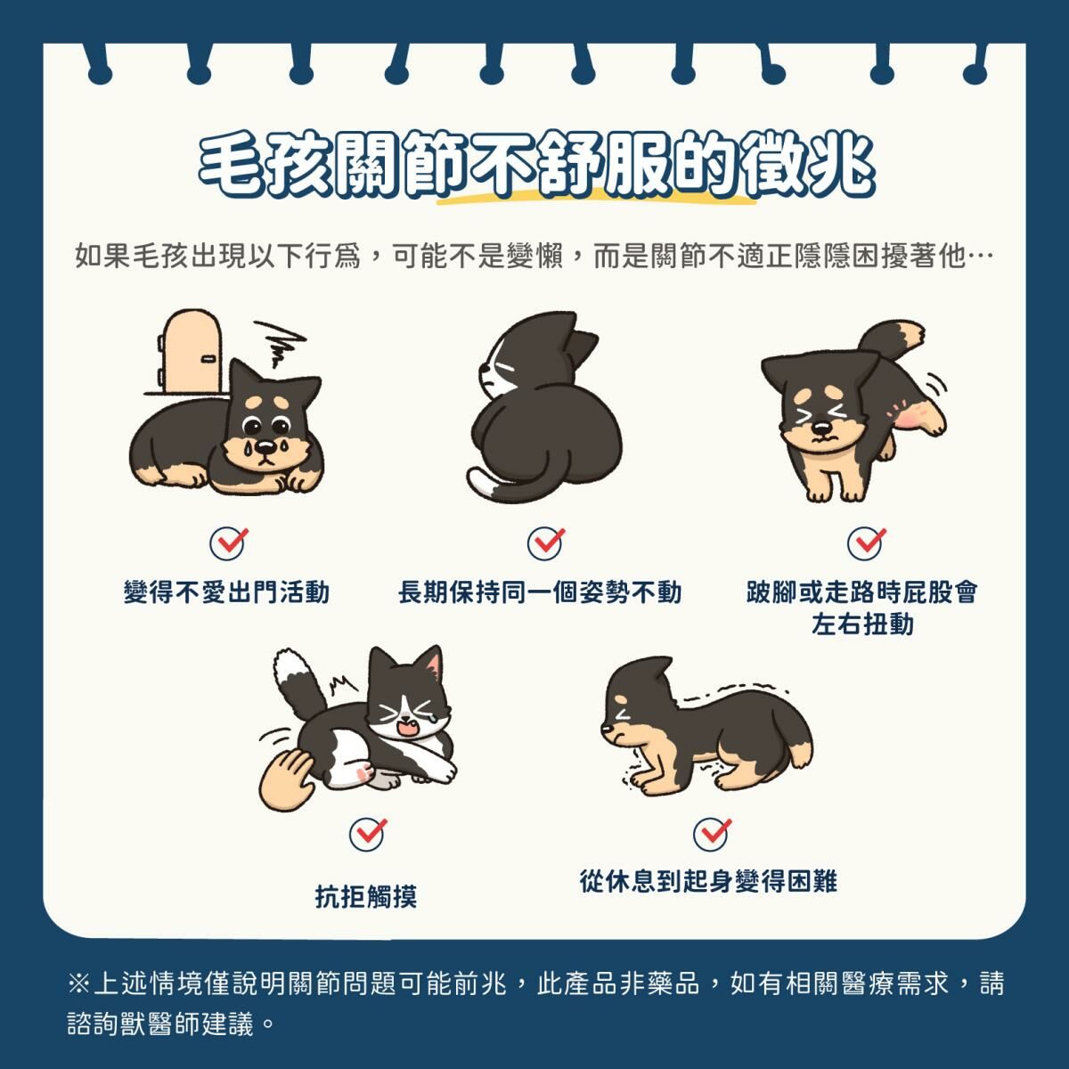 汪喵星球 UCII關節保養粉(MSM加強版)膠囊35粒 (升級配方)