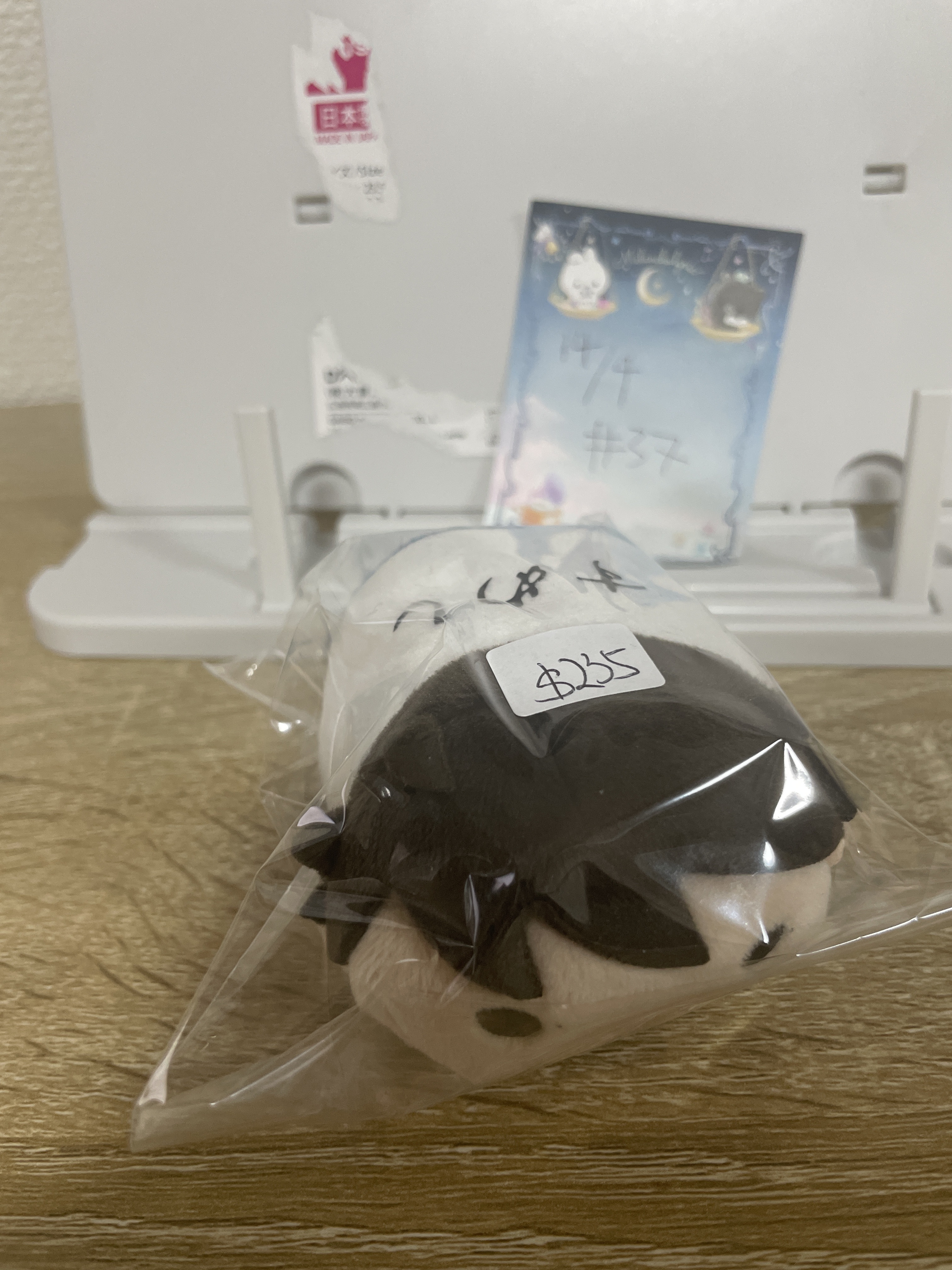 排球少年  及川 公仔#37