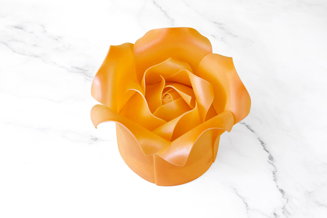 Orange Golden Rose Cake PTW012L