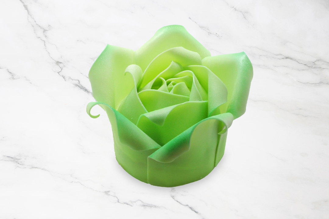 Apple Green Rose Cake PTW013L