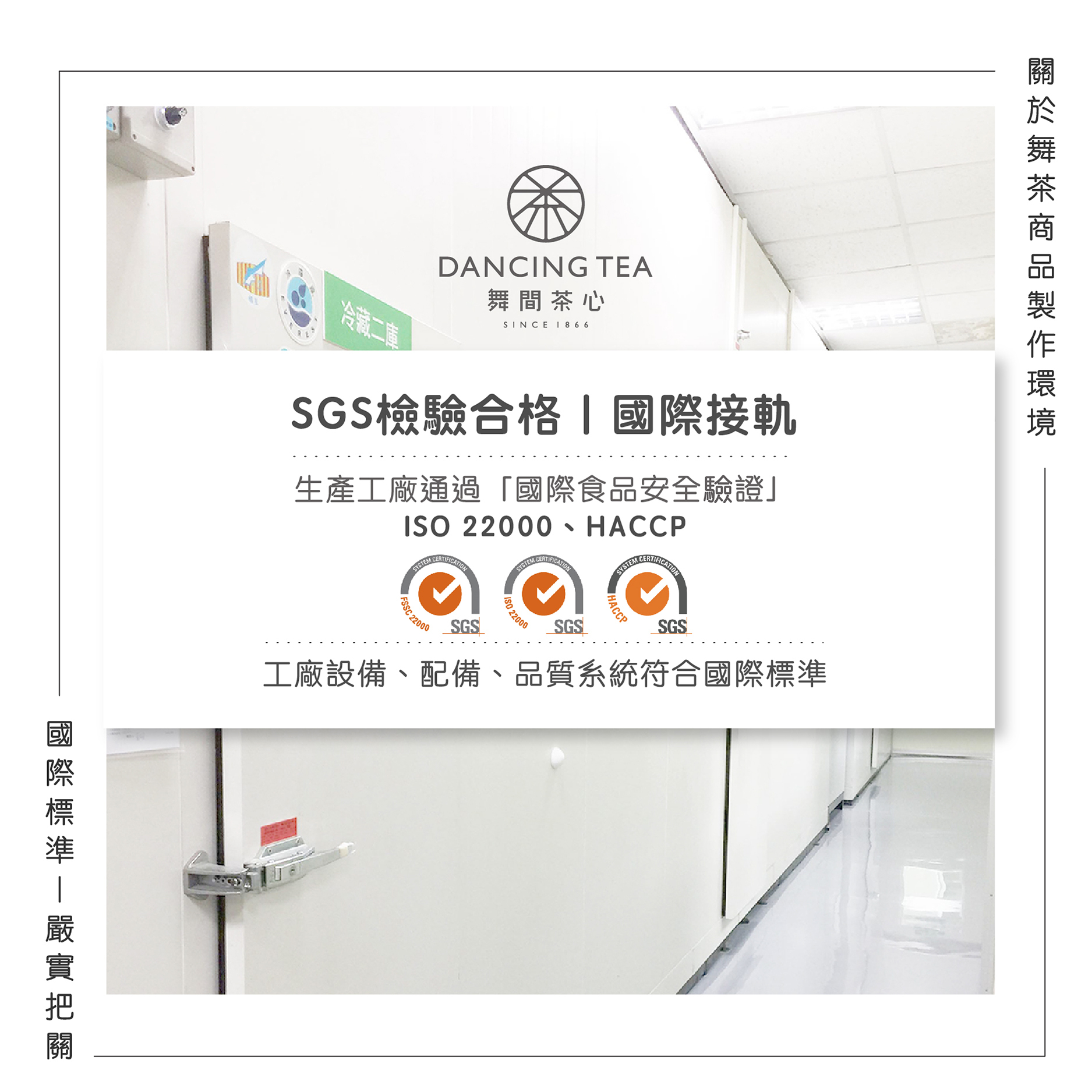 舞間茶心東方美人茶粉50g