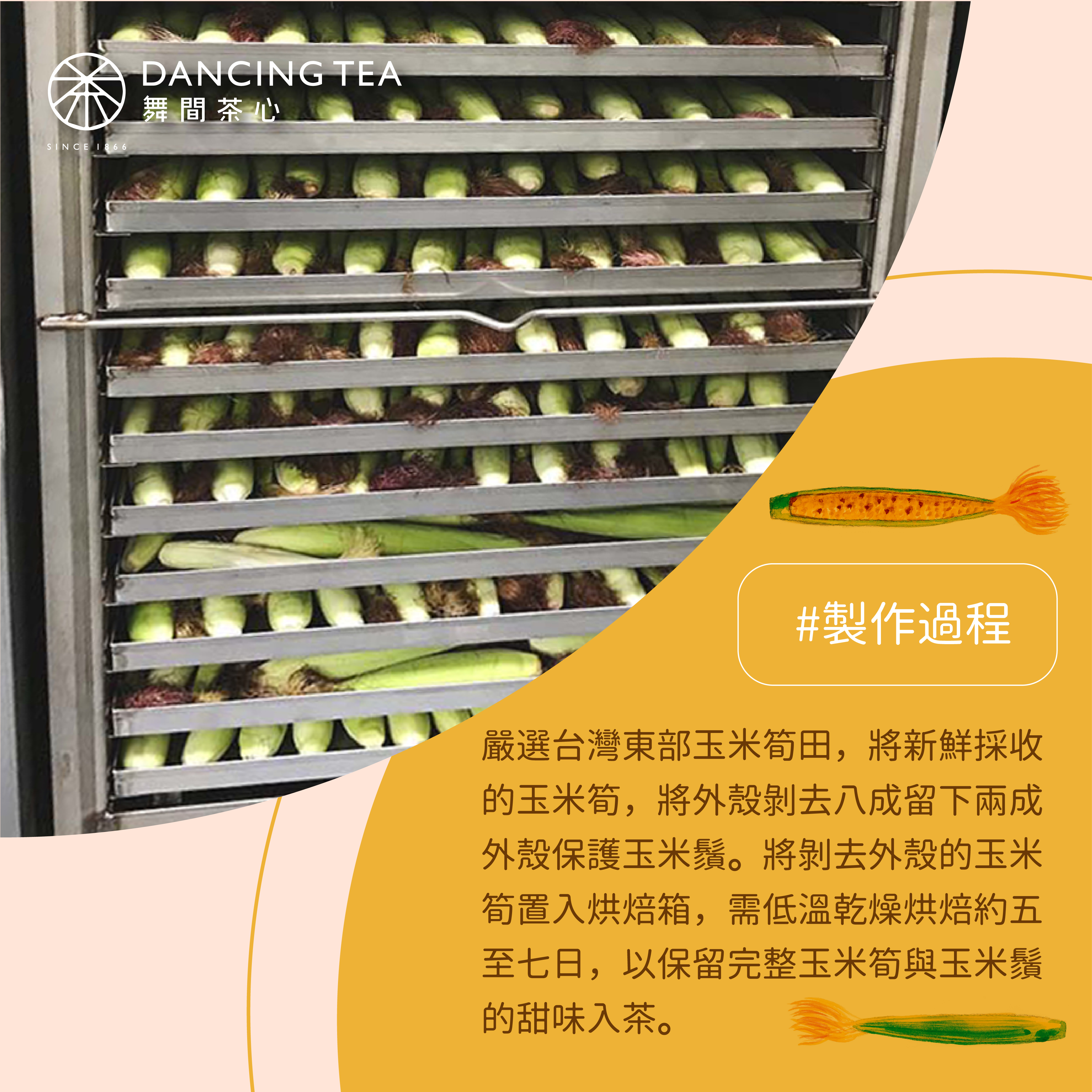 舞間茶心玉米鬚立體茶包50入