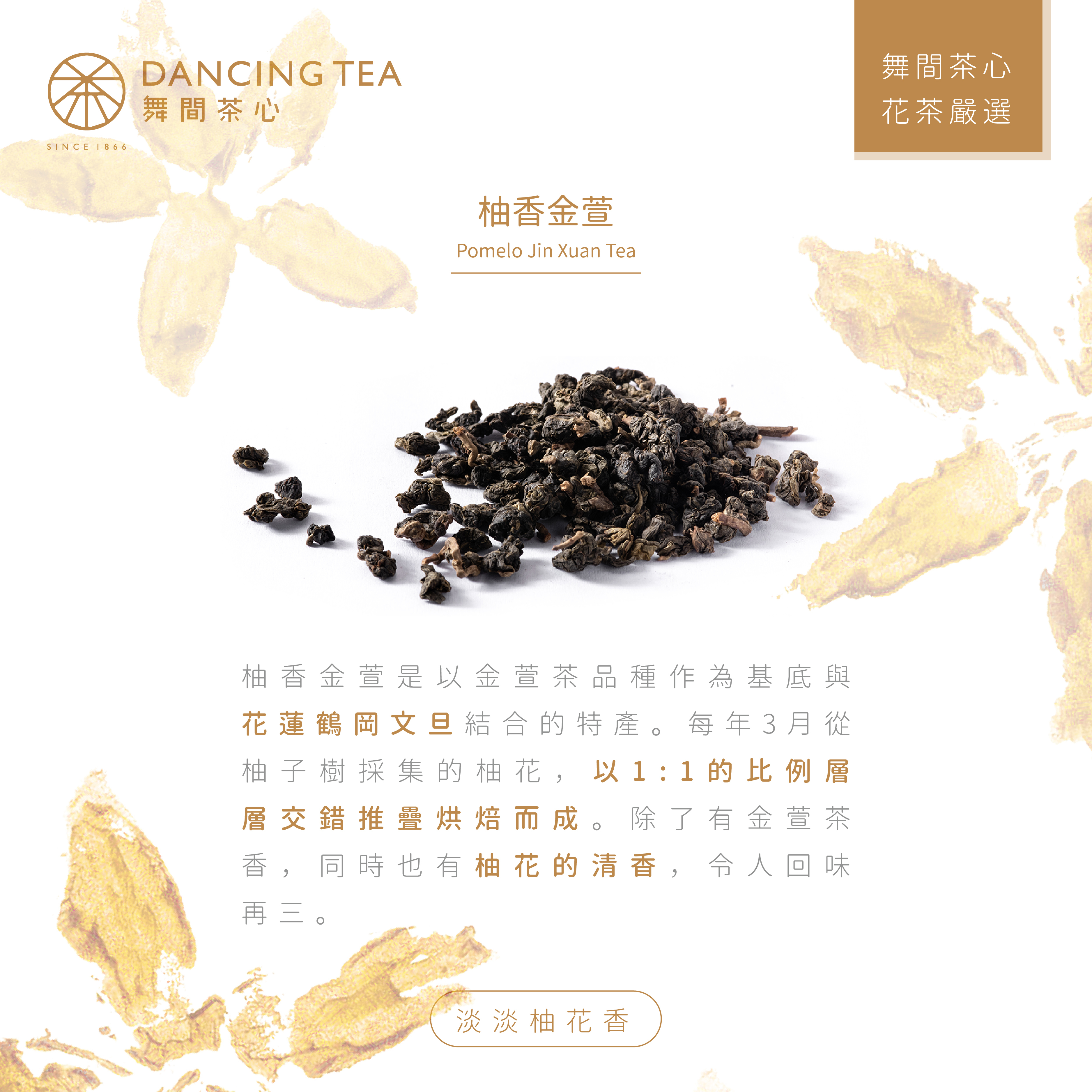 舞間茶心柚香金萱原片立體茶包50入