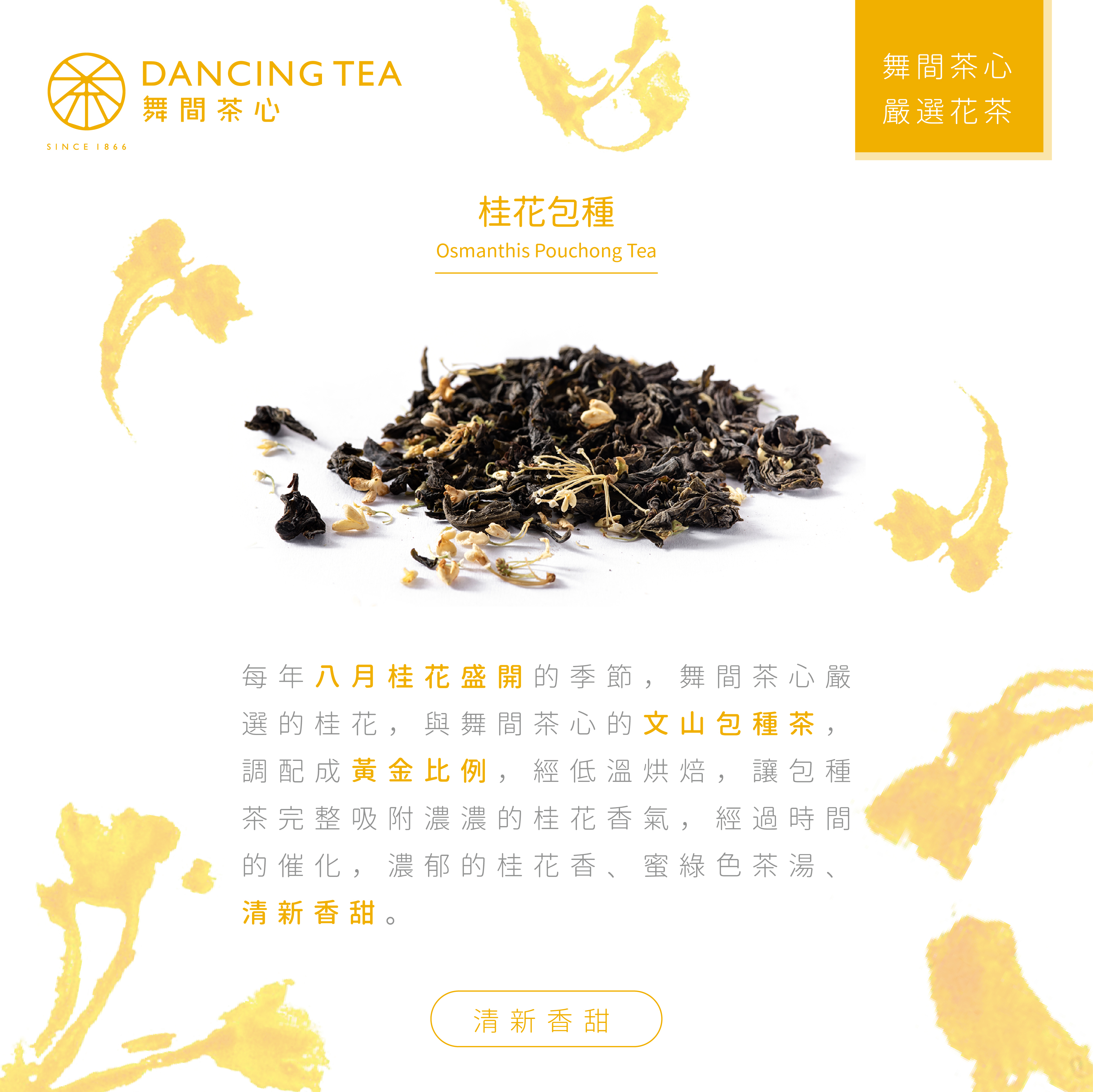 舞間茶心桂花包種原片立體茶包50入