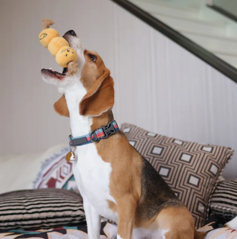 Woof² 咖喱魚蛋拉扯玩具