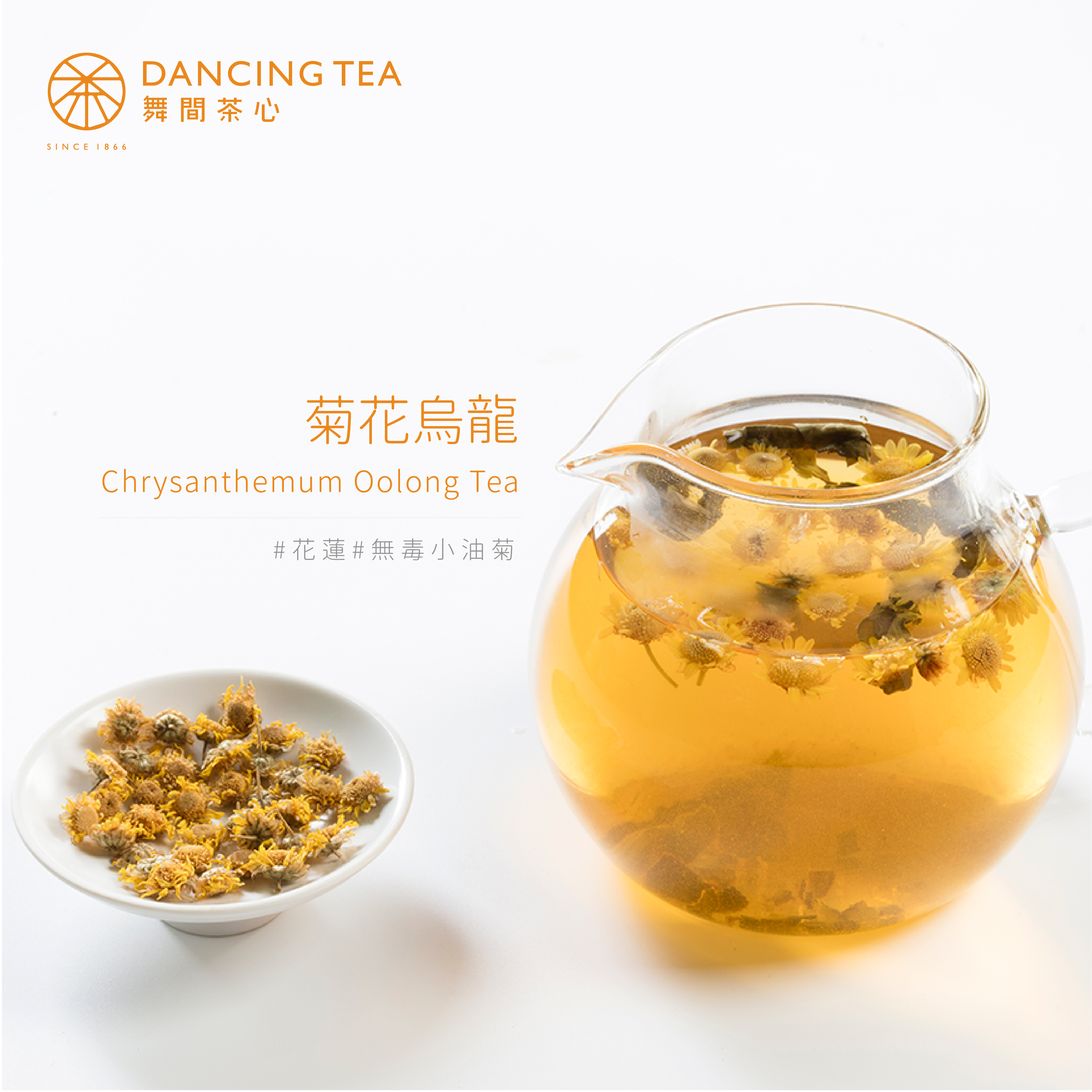 舞間茶心菊花烏龍原片立體茶包10入