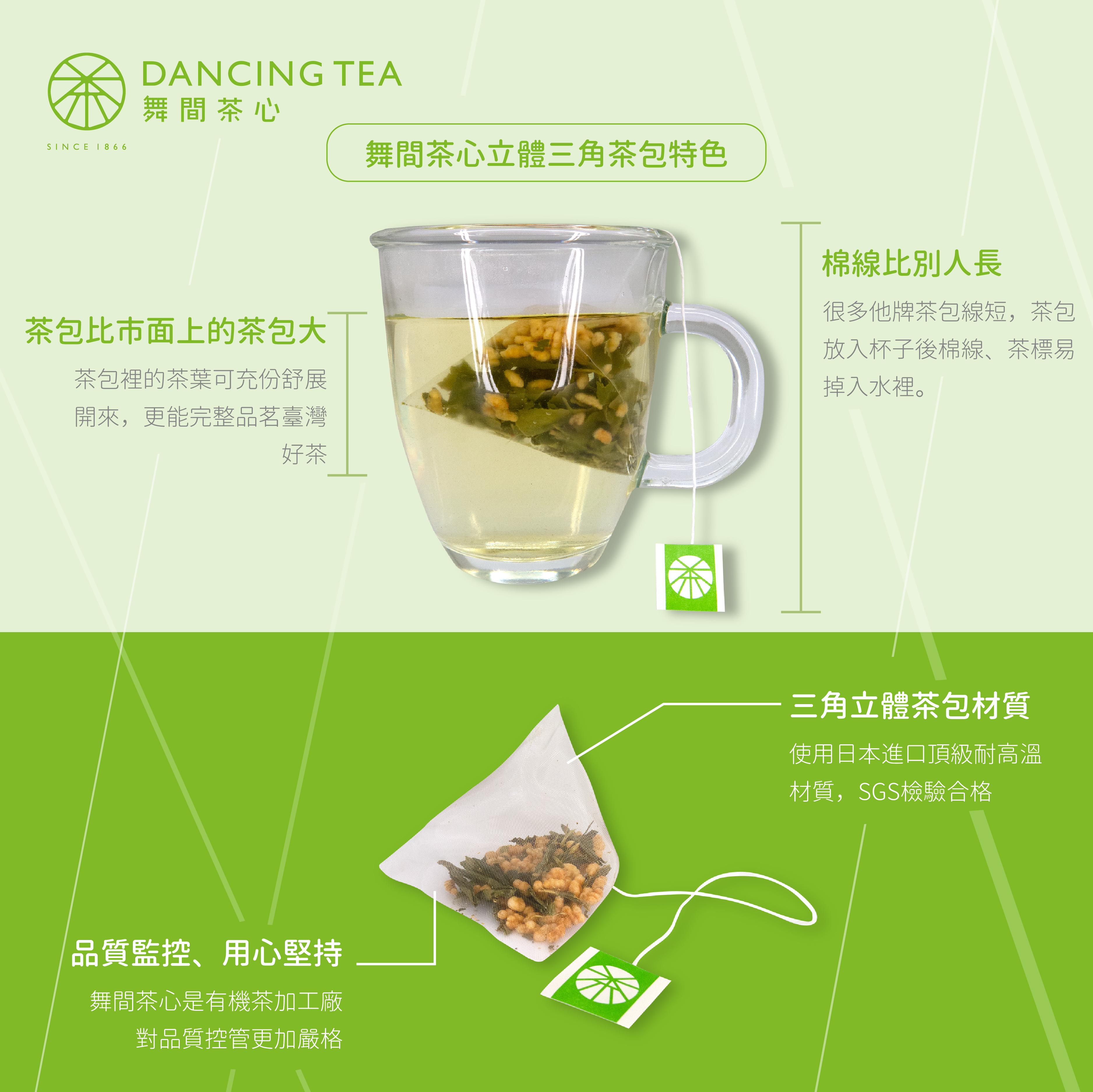 舞間茶心菊花烏龍原片立體茶包10入