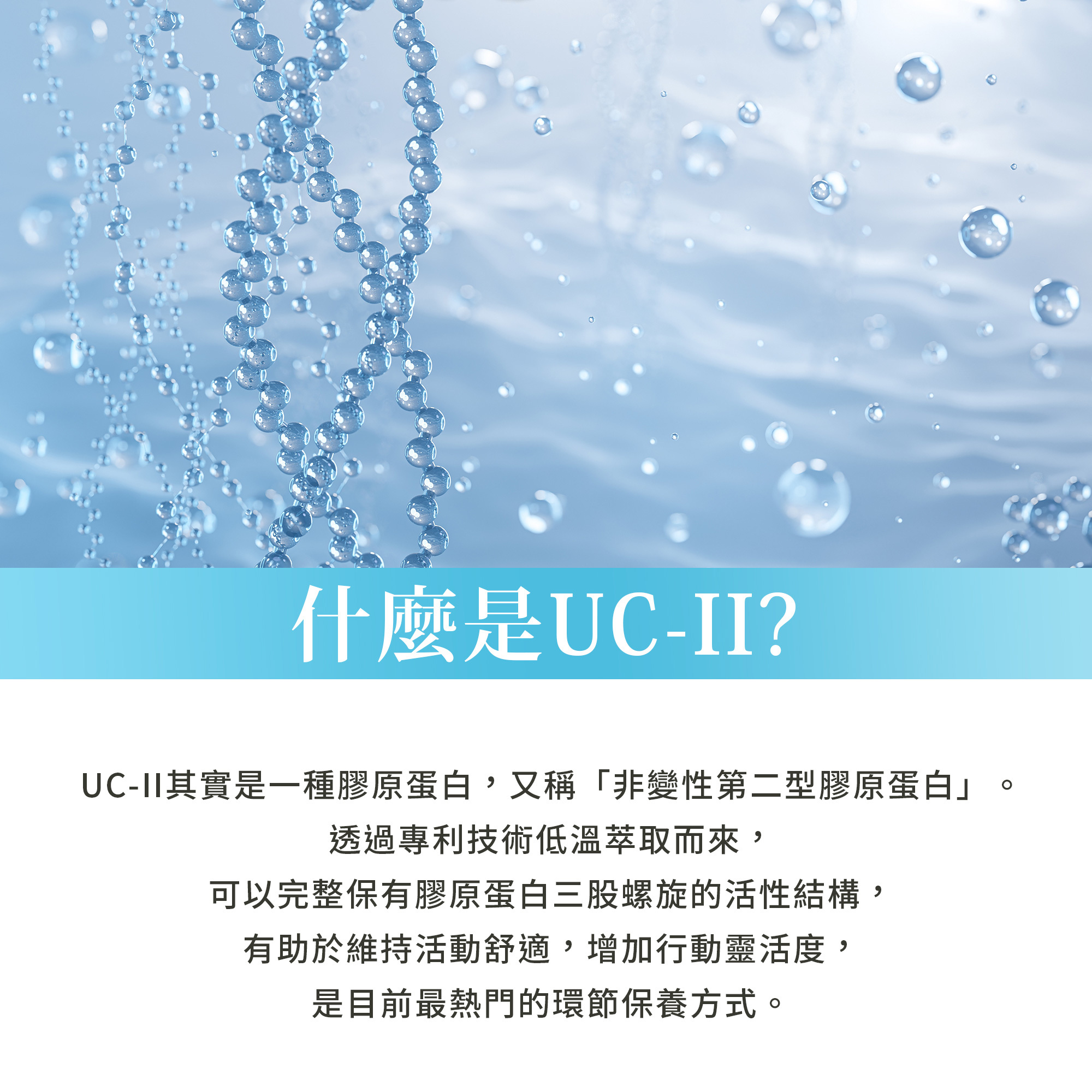 UC-II 非變性第二型膠原蛋白