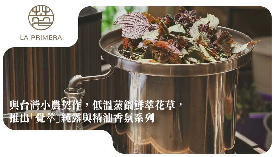 與台灣小農契作，低溫蒸餾鮮萃花草， 推出「覺萃」純露與精油香氛系列