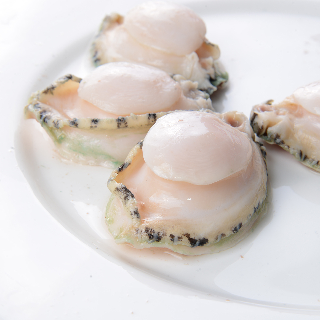 澳洲急凍中BB青邊鮑 (15-17)