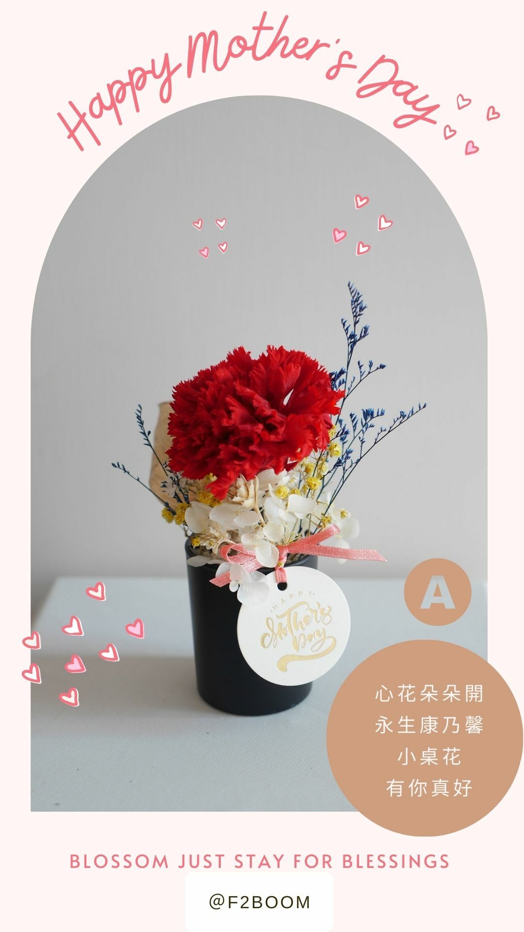 Carnation potted flower