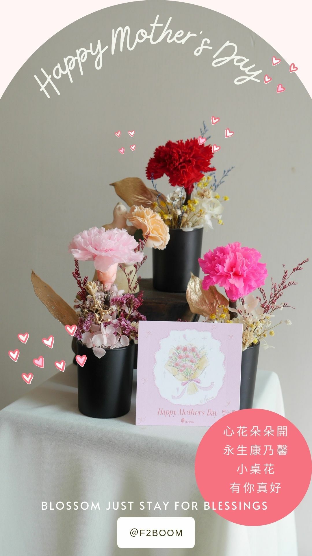 Carnation potted flower