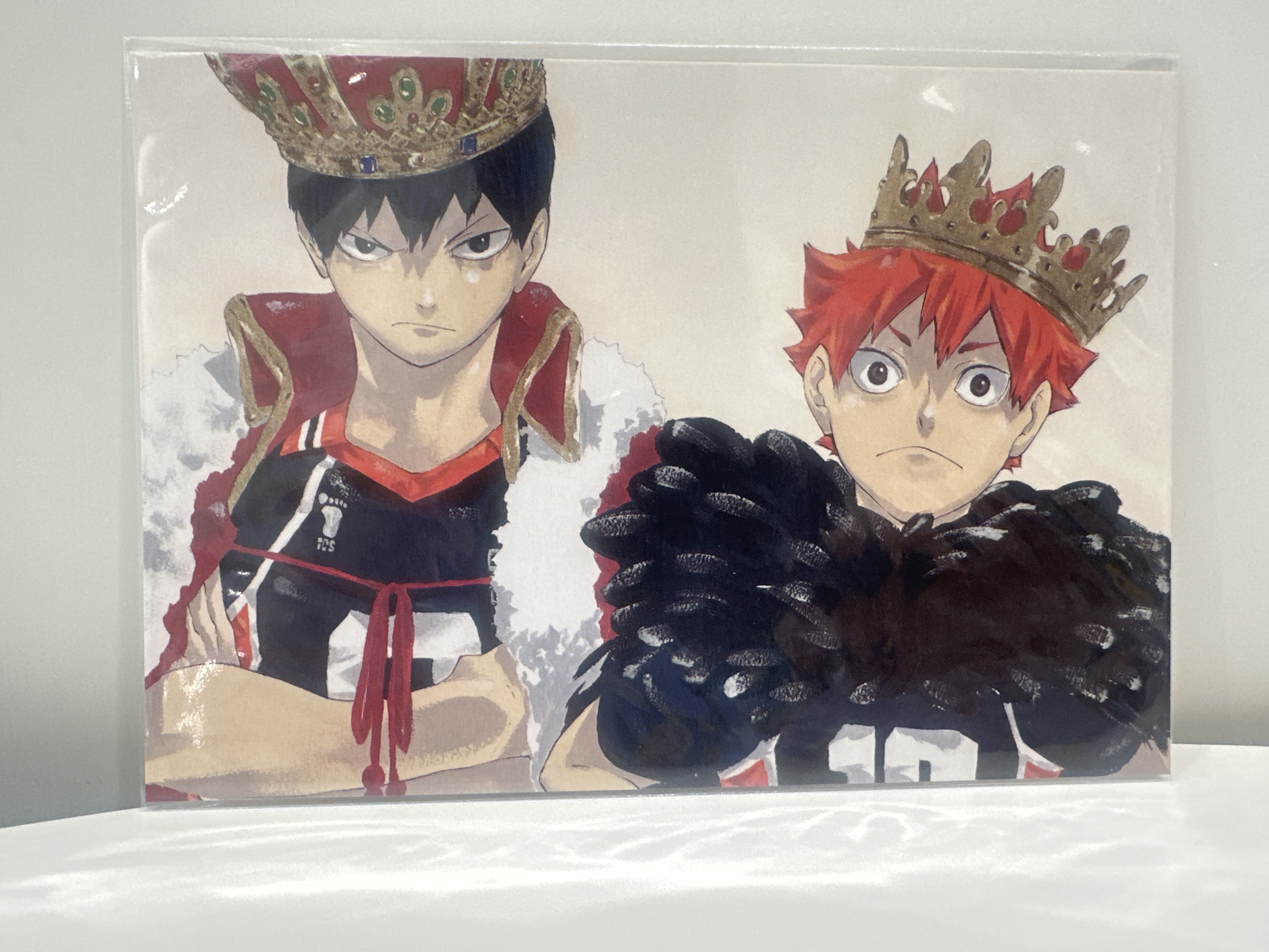 排球少年展 日向翔陽 影山飛雄 原畫明信片